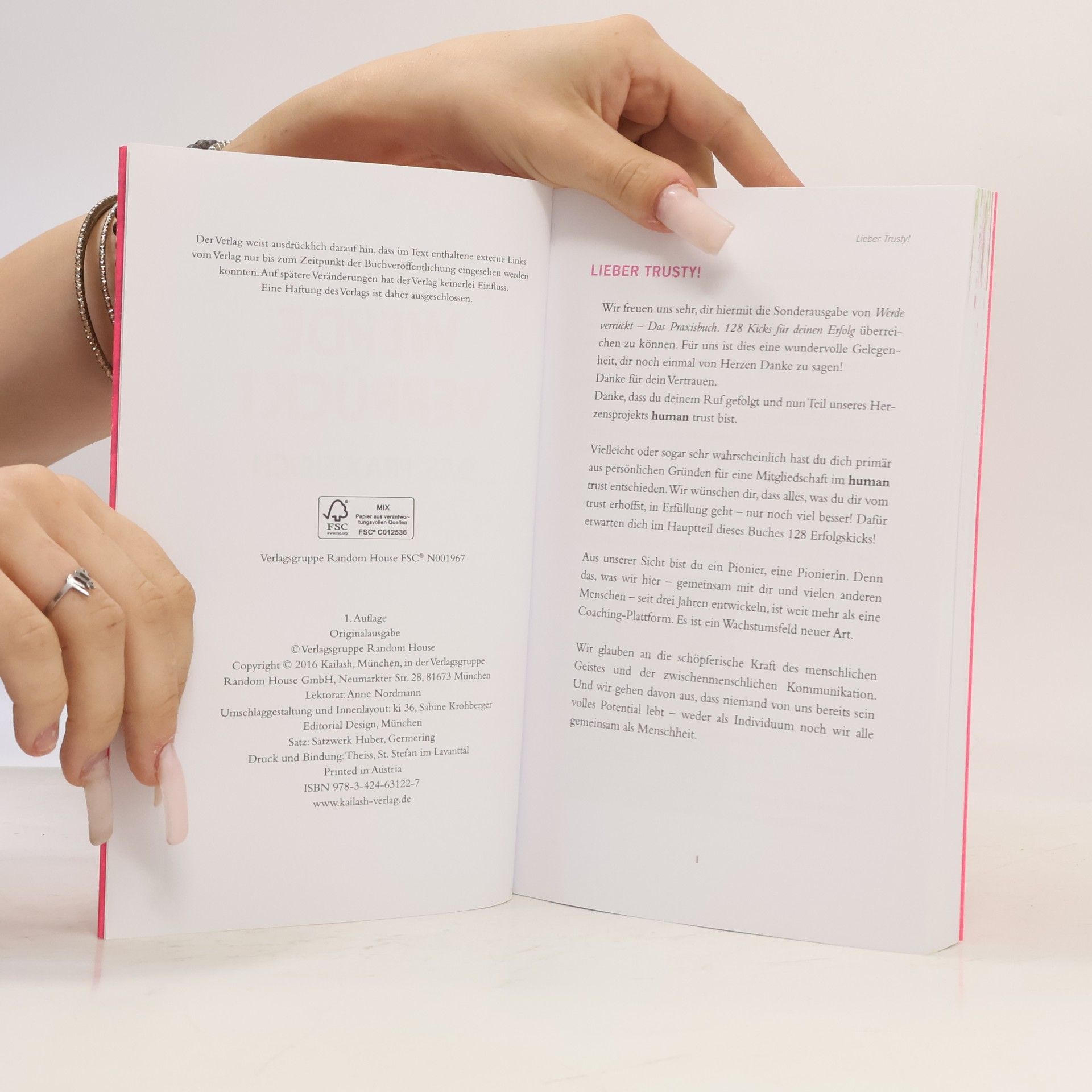 Veit Lindau Werde verrückt – Das Praxisbuch: 128 Kicks für deinen Erfolg
