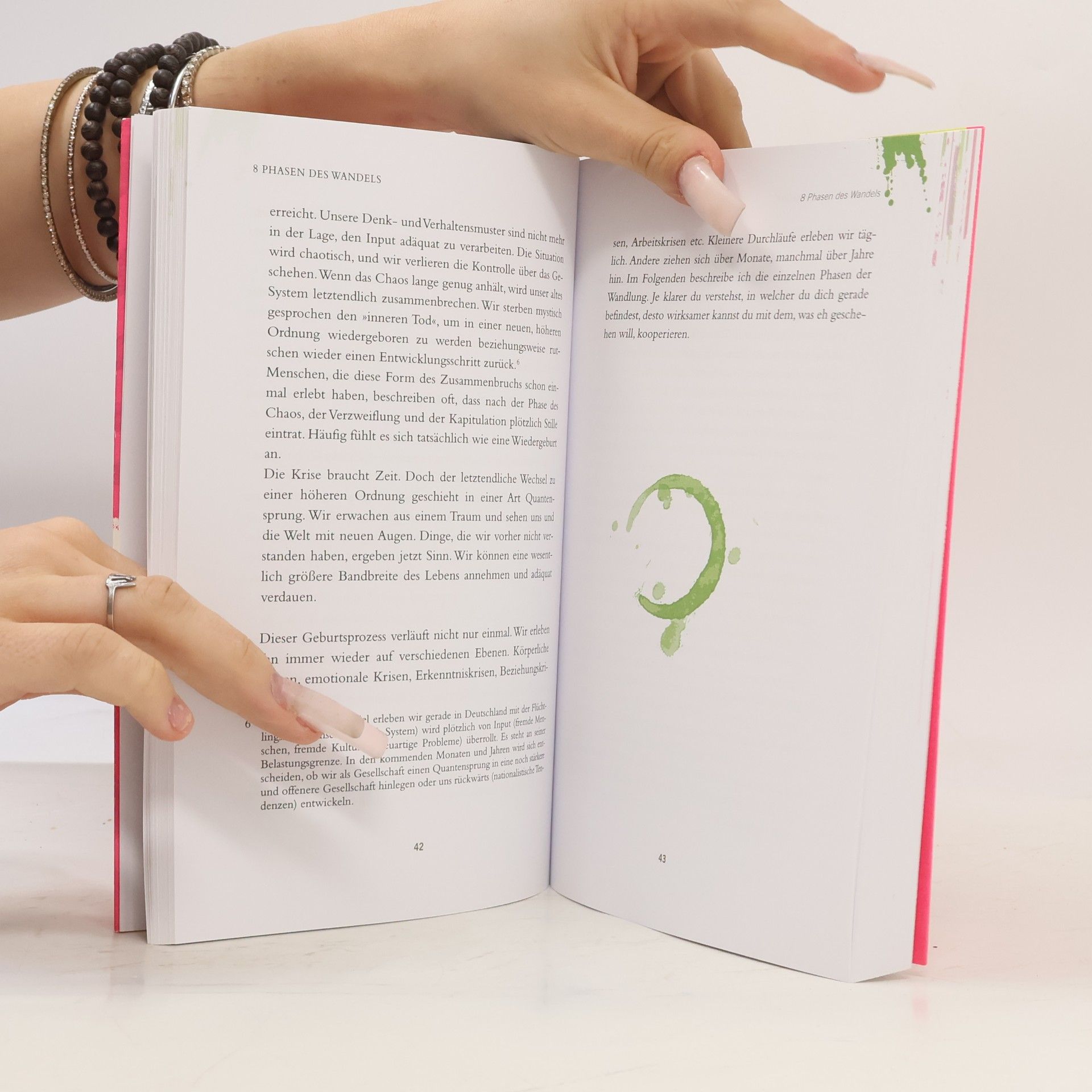 Veit Lindau Werde verrückt – Das Praxisbuch: 128 Kicks für deinen Erfolg
