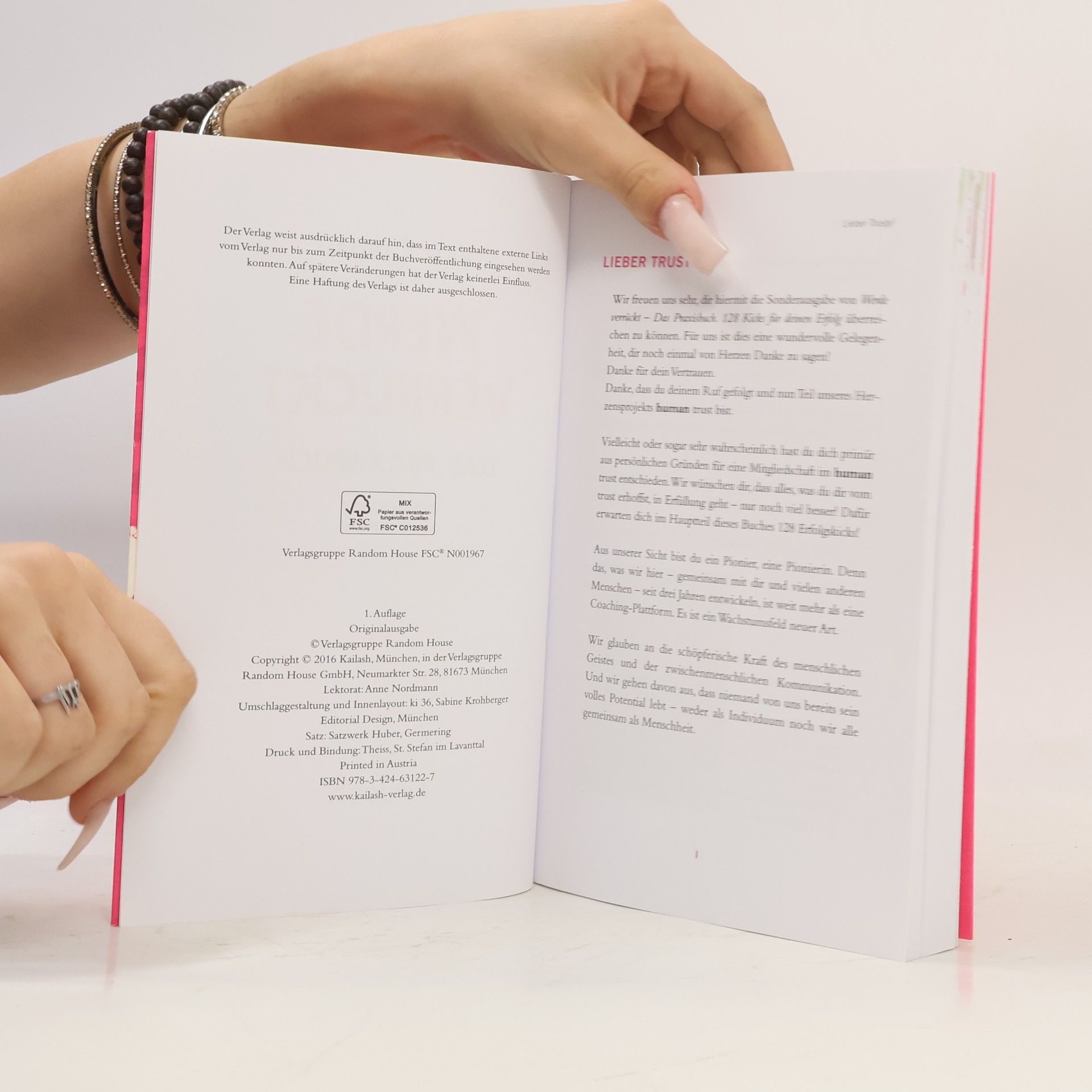 Veit Lindau Werde verrückt – Das Praxisbuch: 128 Kicks für deinen Erfolg