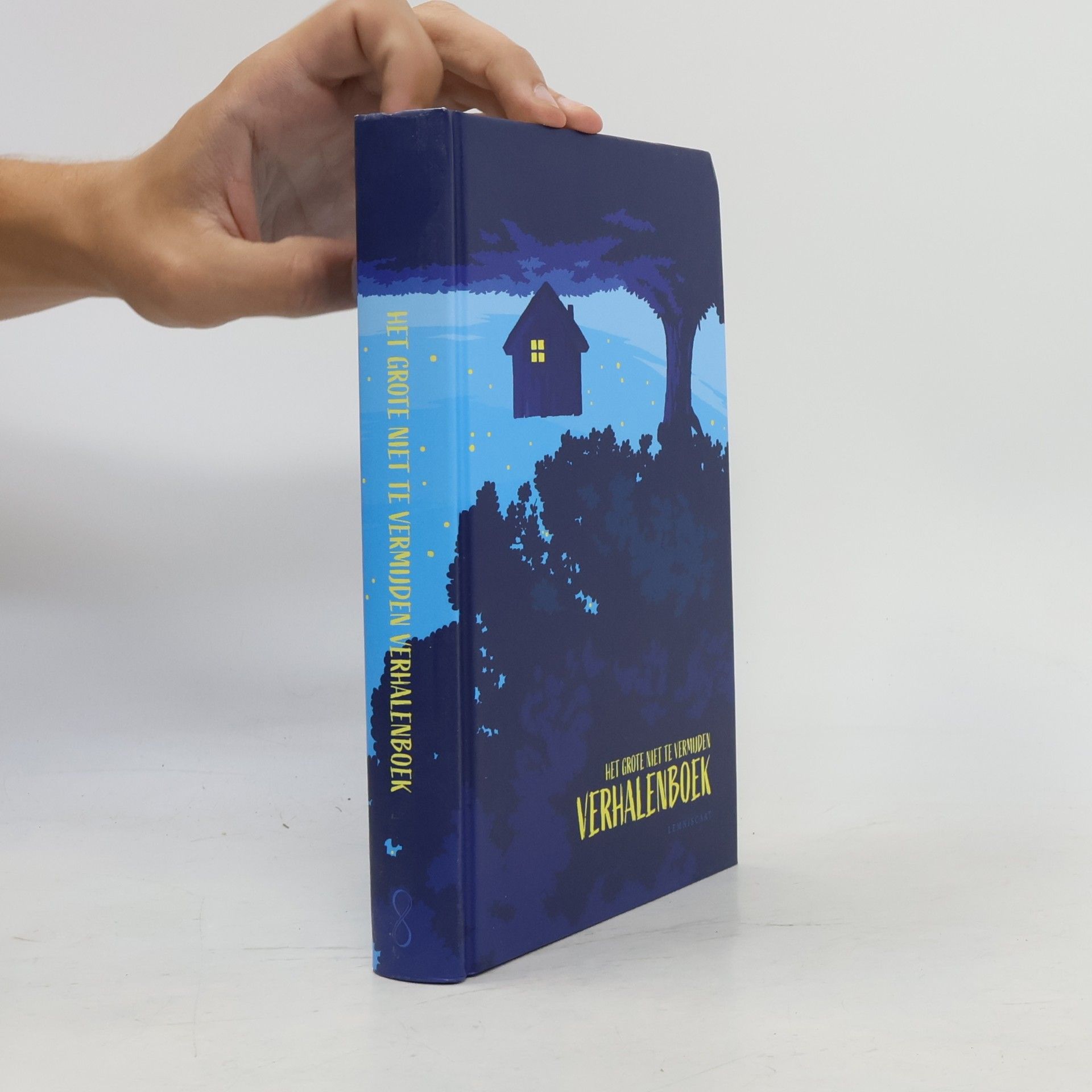 Inge Besaris Het grote niet te vermijden Verhalenboek