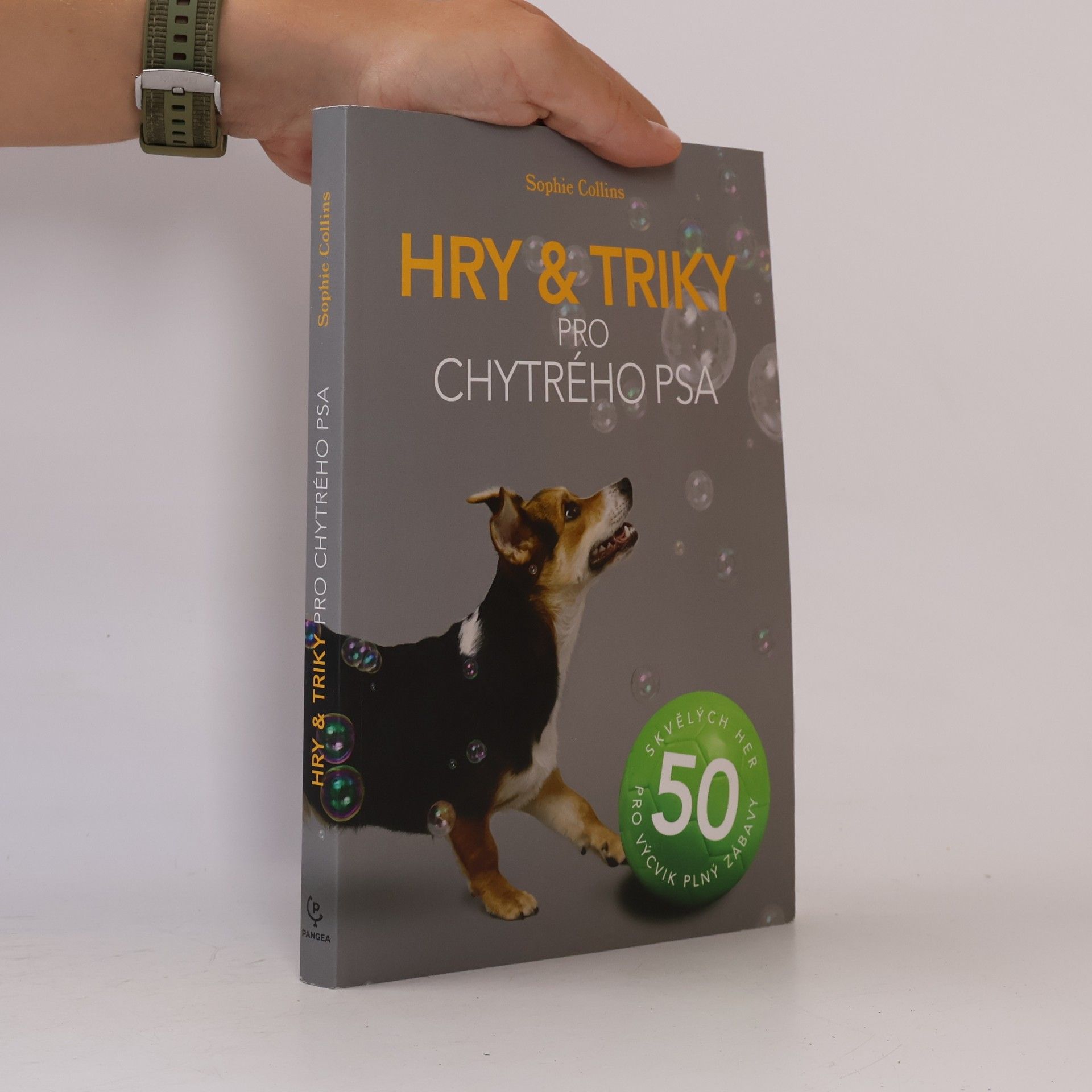 Sophie Collins Hry & triky pro chytrého psa