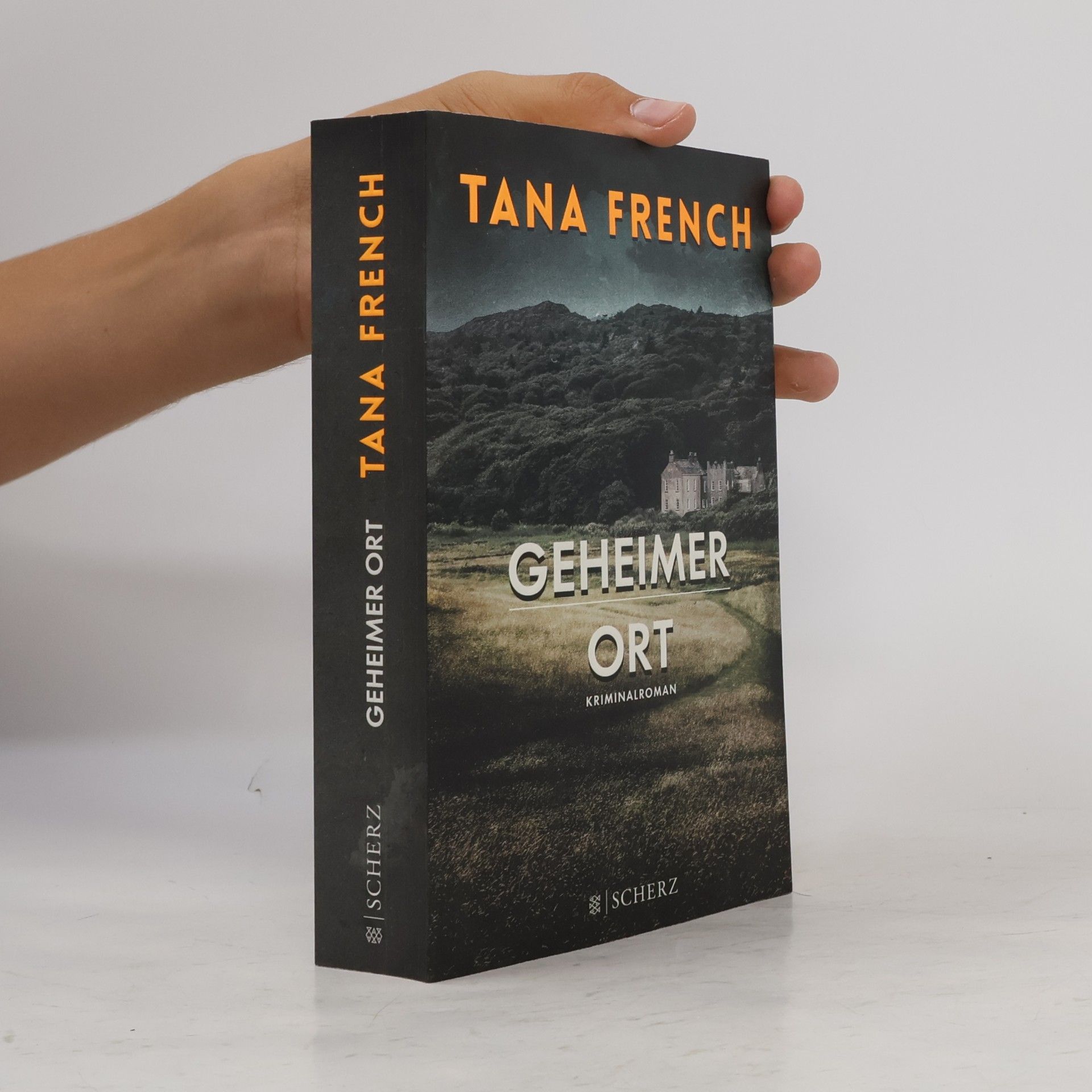 Tana French Geheimer Ort