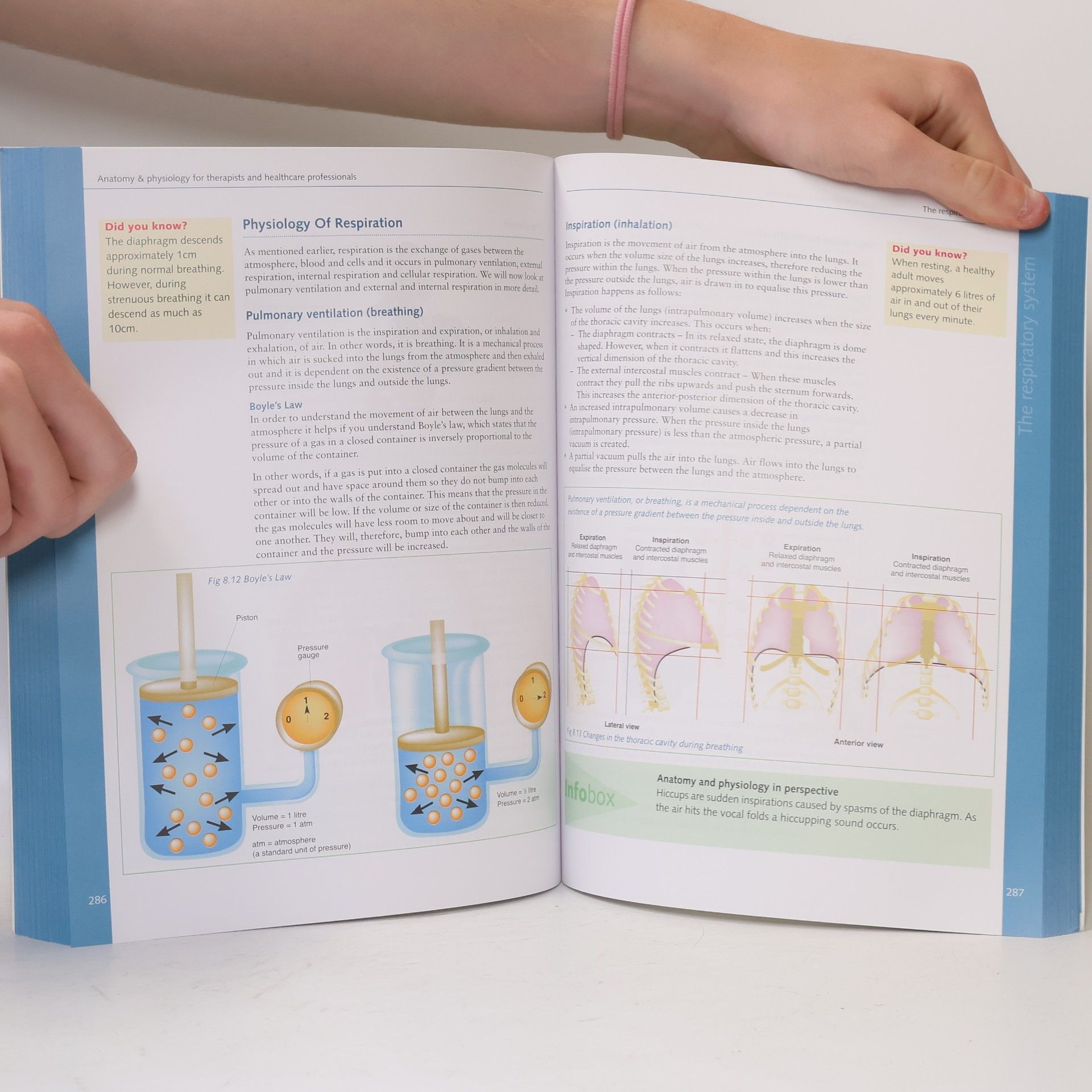 Ruth Hull Anatomy and Physiology for Therapists and Healthcare Professionals