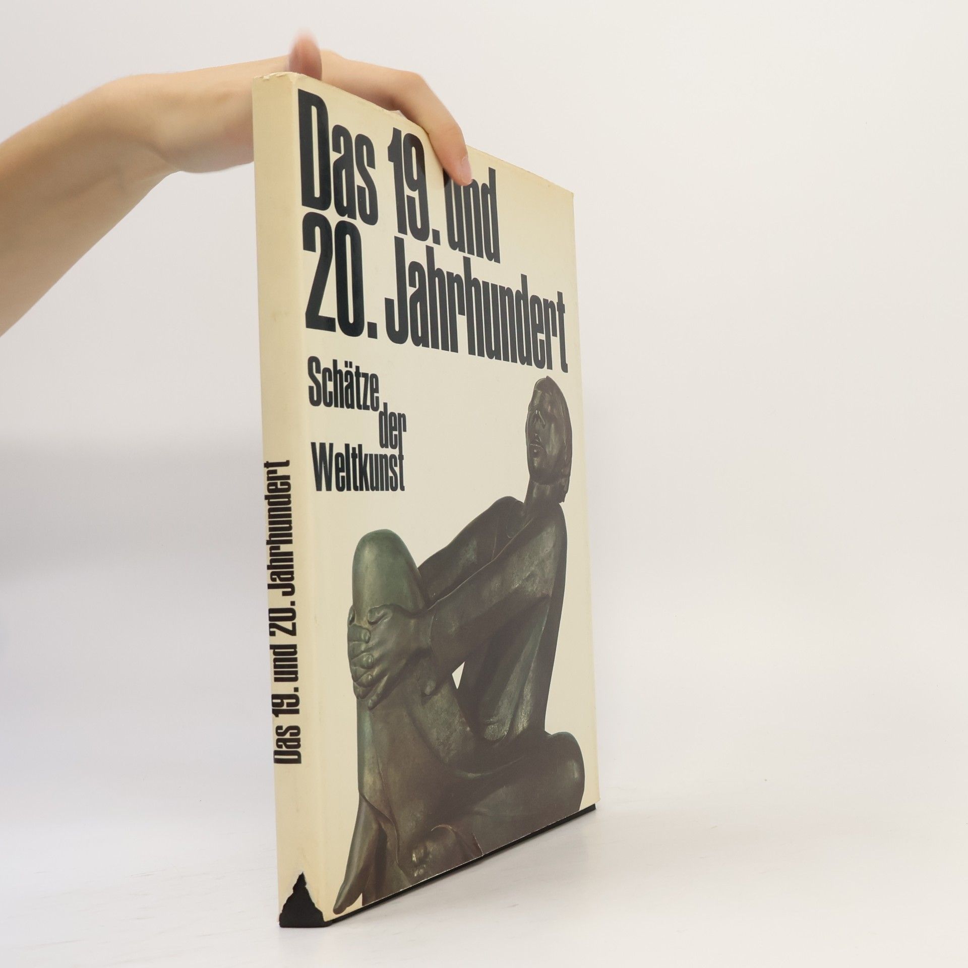 Kolektiv autorů Das 19. und 20. Jahrhundert. Schätze der Weltkunst