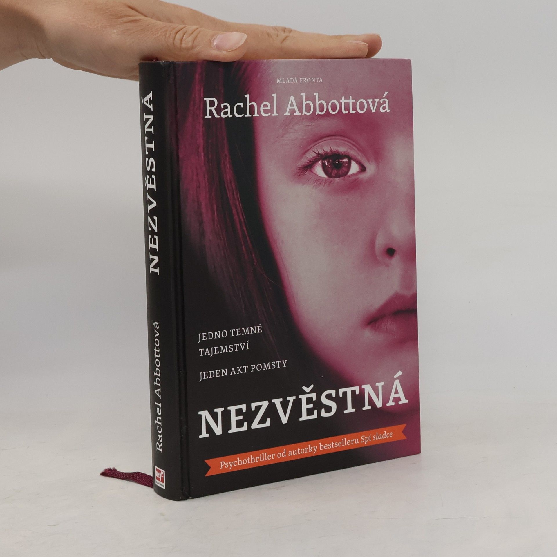 Rachel Abbott Nezvěstná