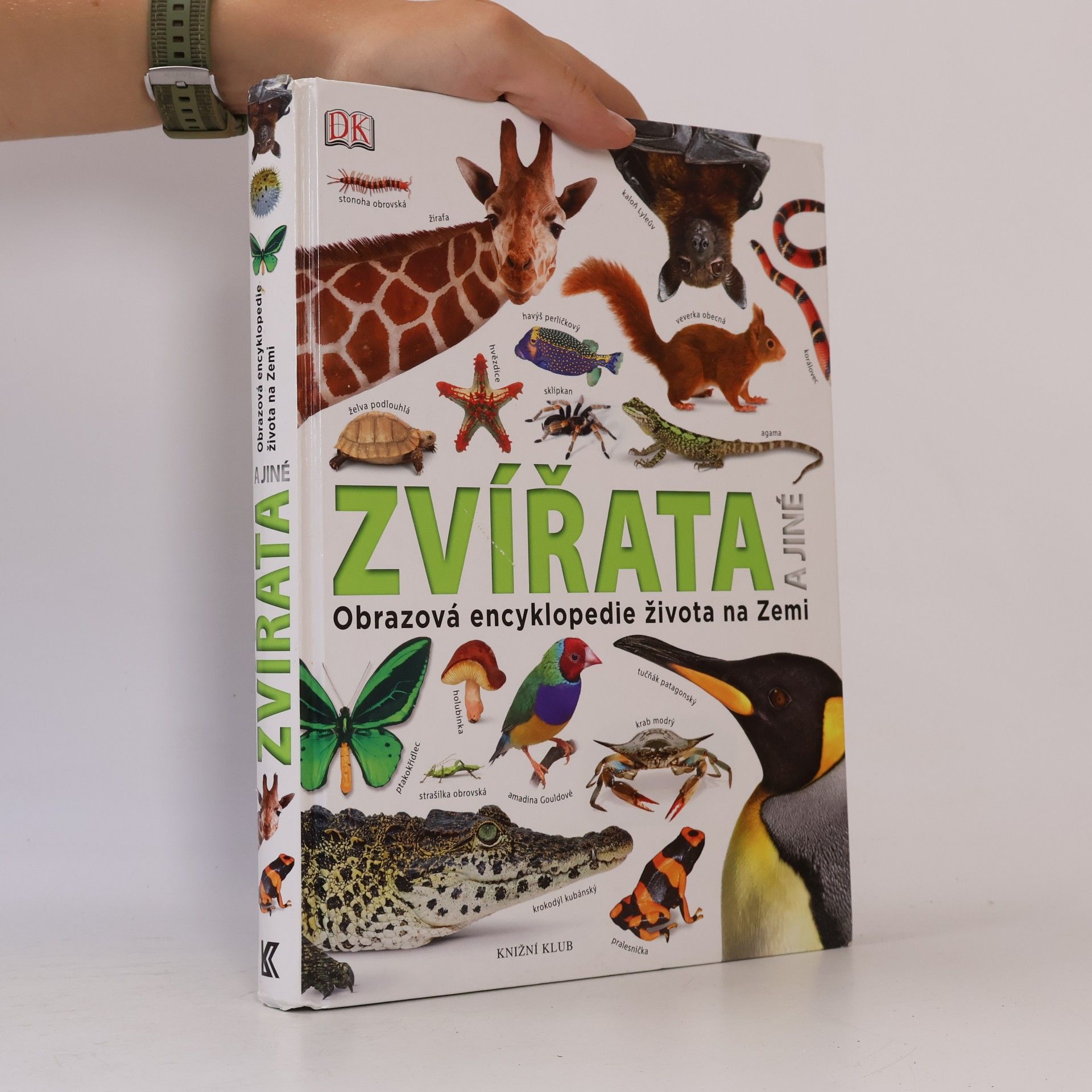 Various authors Zvířata a jiné. Obrazová encyklopedie života na Zemi