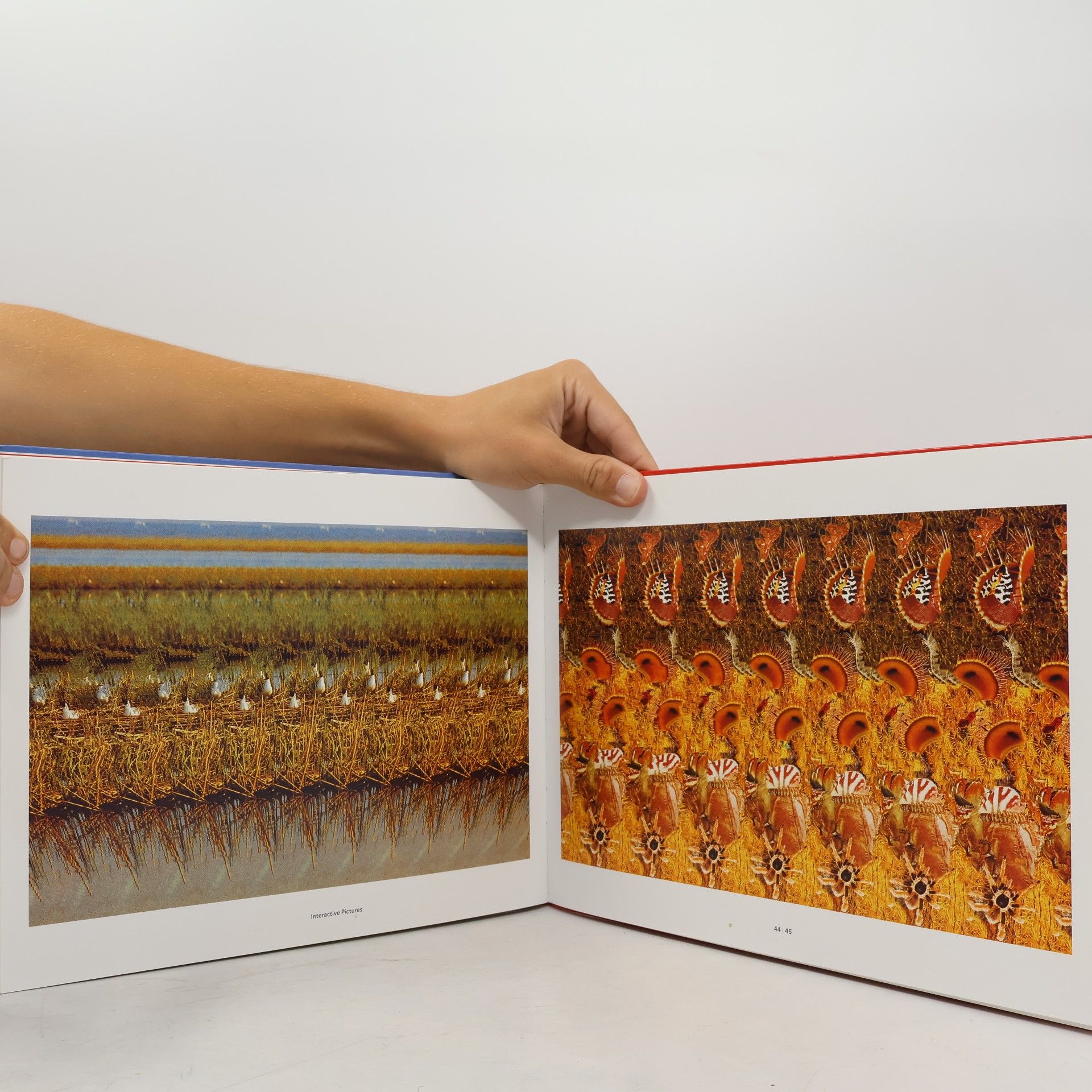 Benedikt Taschen Interactive Pictures II