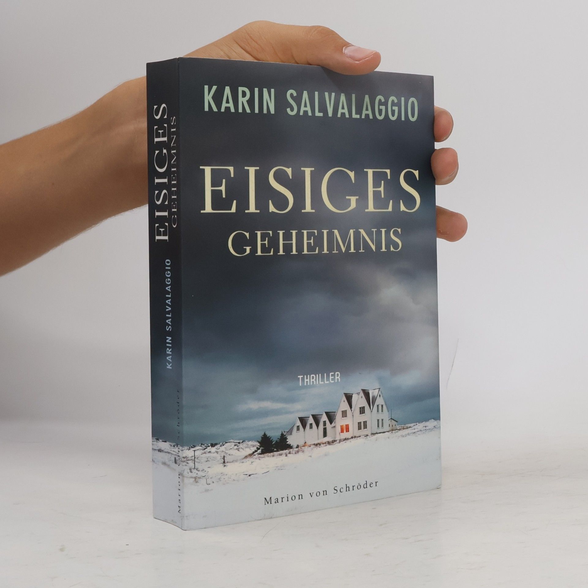 Karin Salvalaggio Eisiges Geheimnis