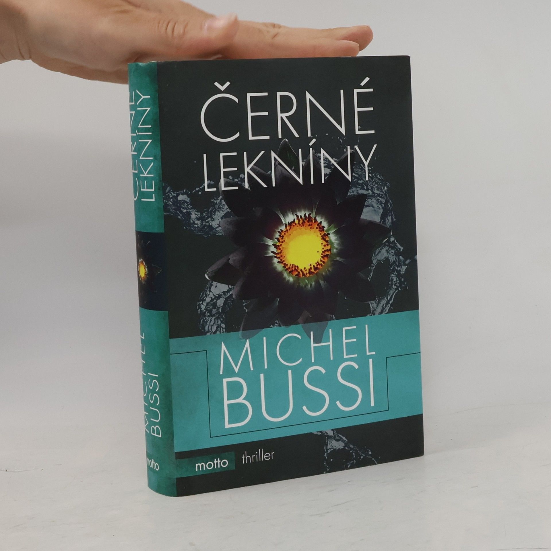 Michel Bussi Černé lekníny