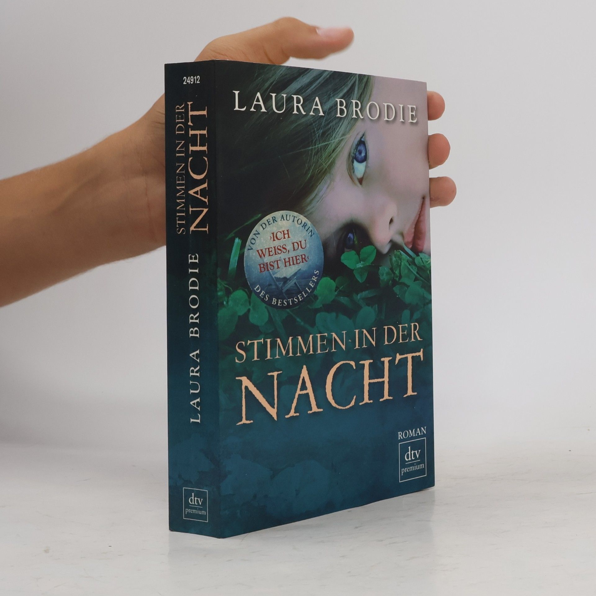 Laura Brodie Stimmen in der Nacht