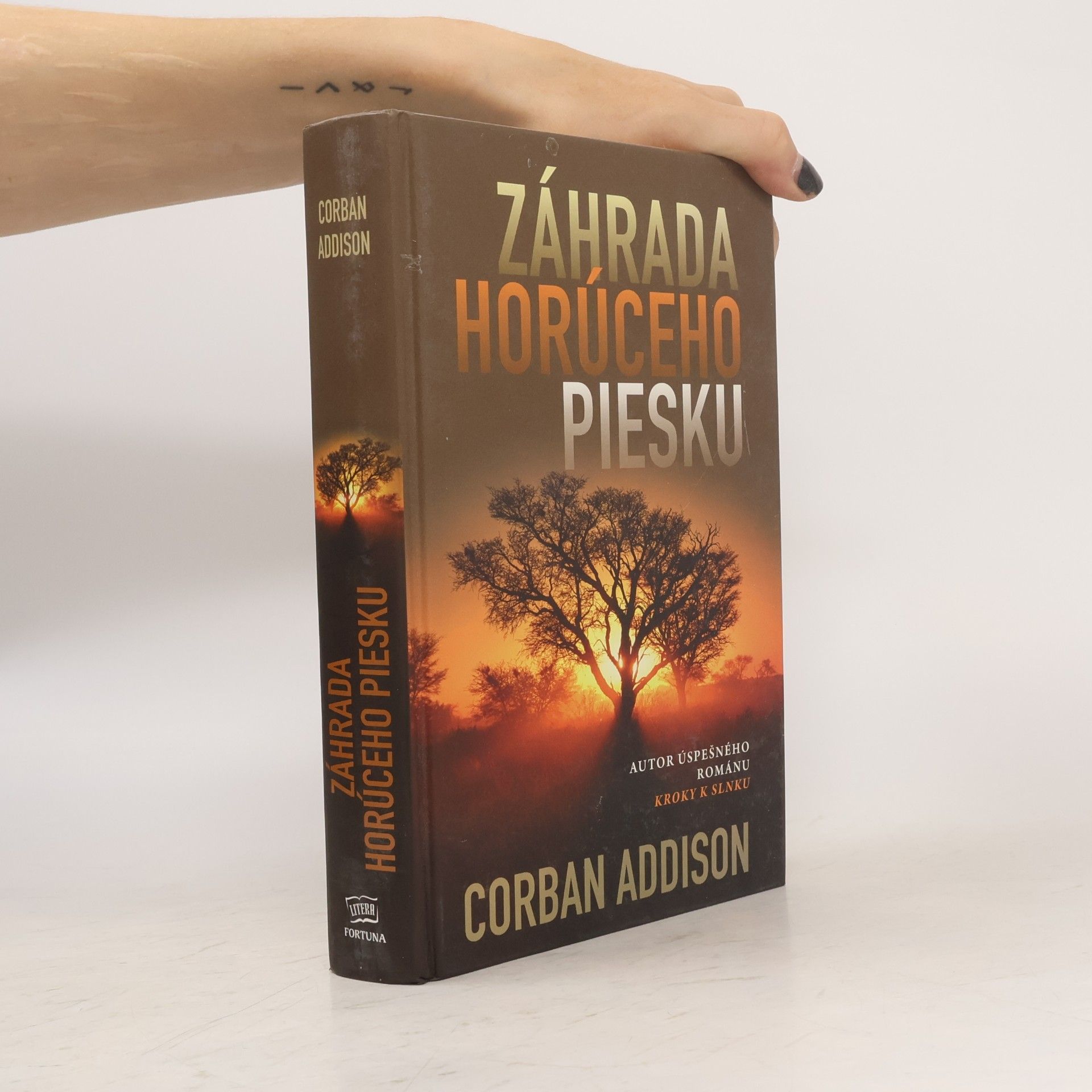 Corban Addison Záhrada horúceho piesku