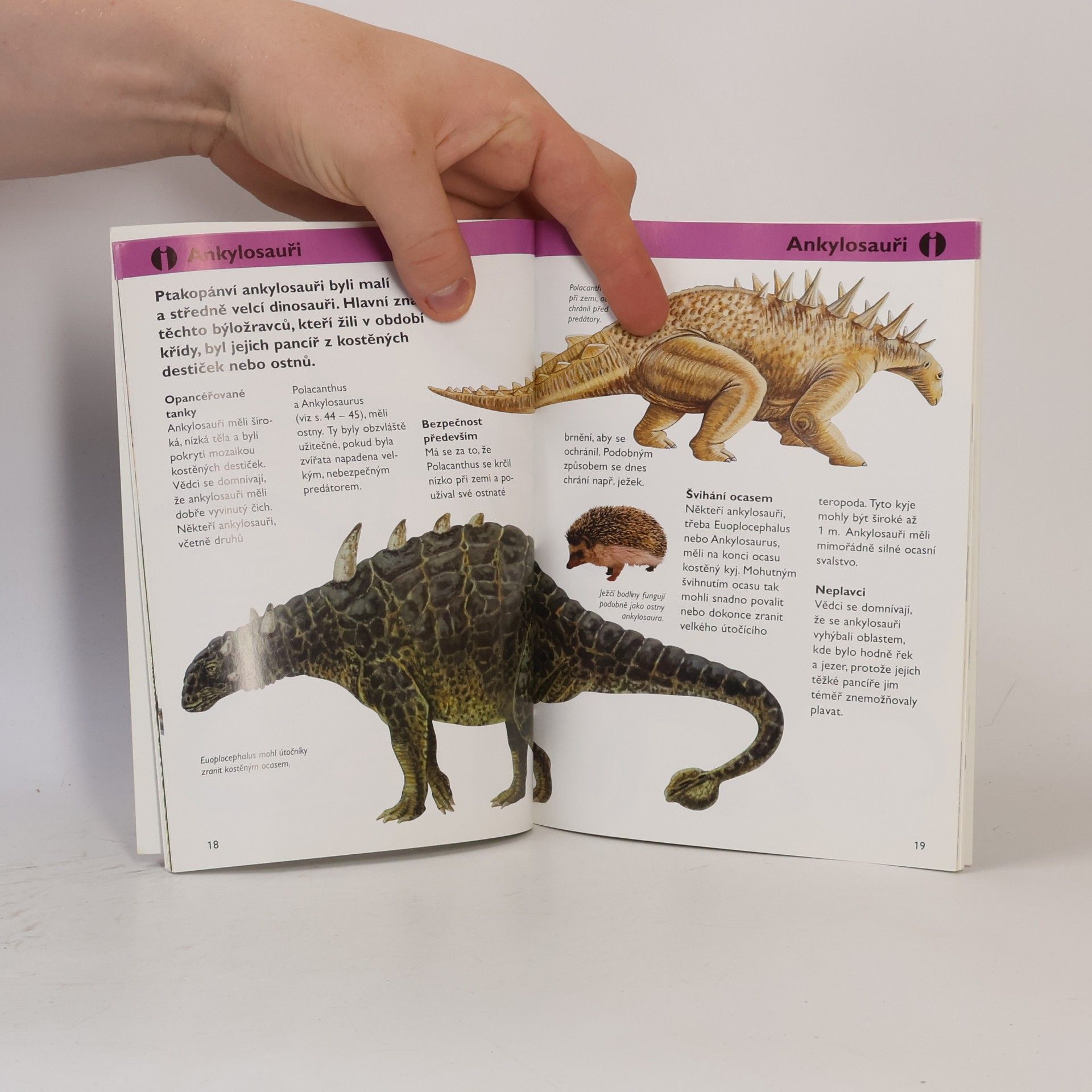 Collectif d'auteurs Dinosauři