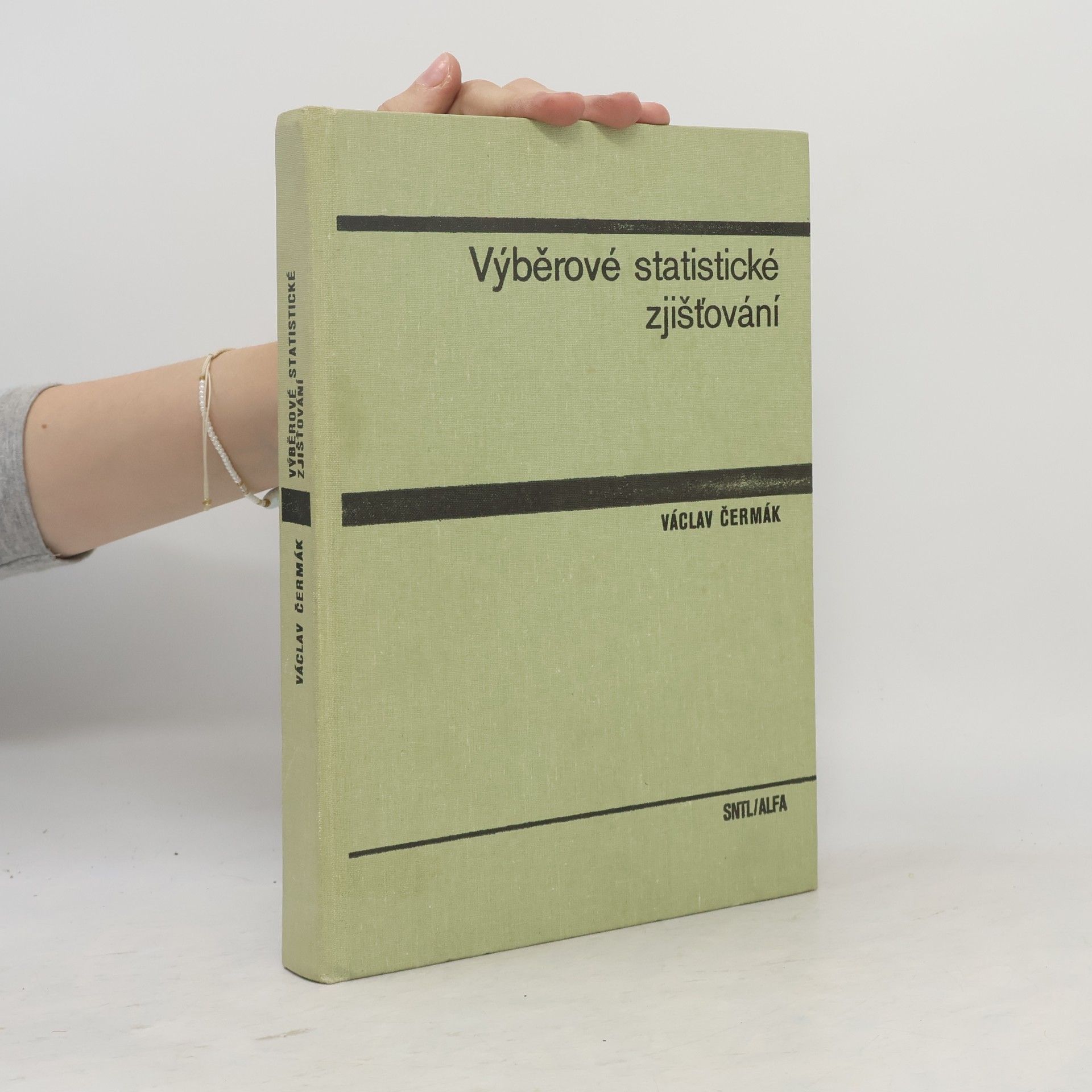 Výběrové statistické zjišťování