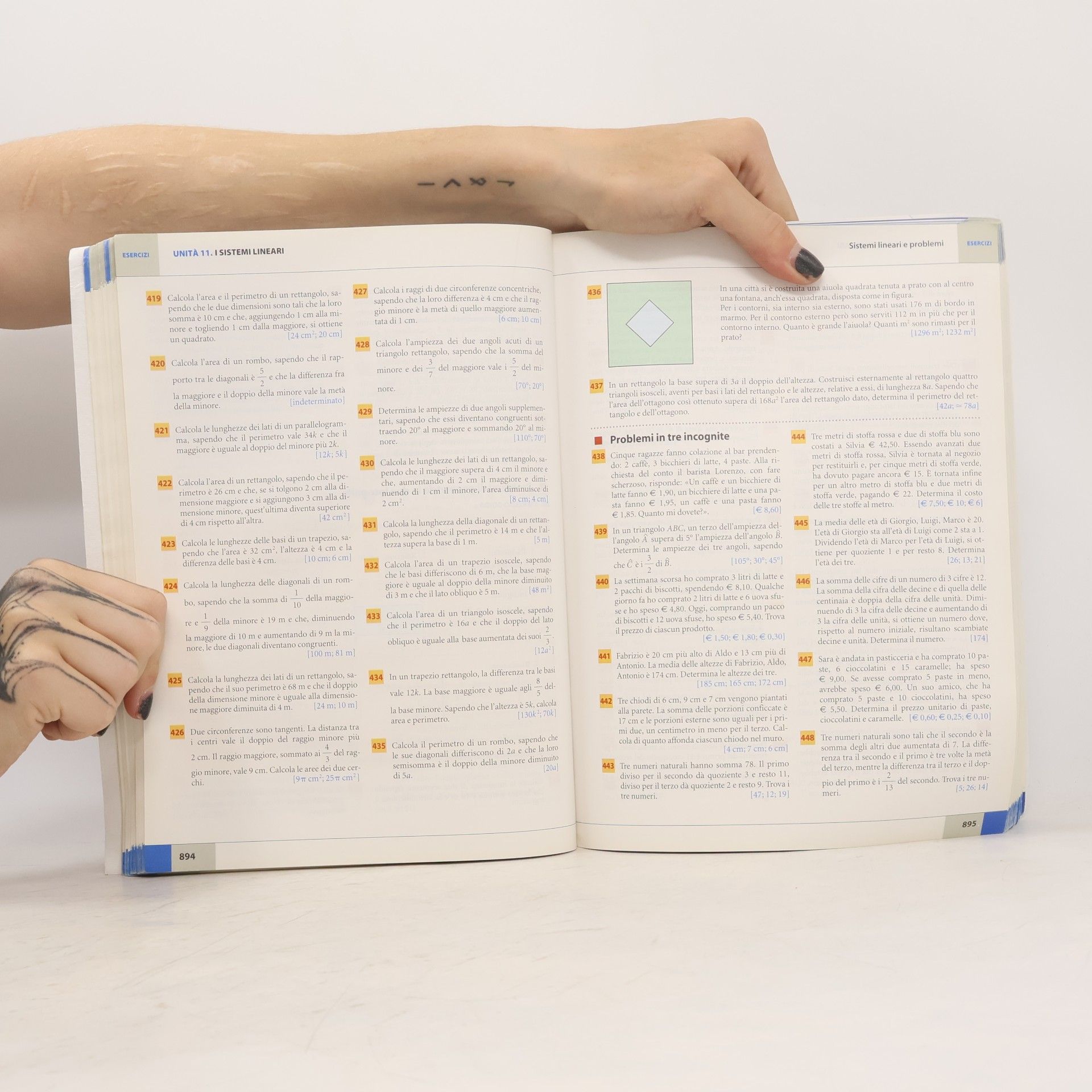 Massimo Bergamini Manuale di algebra. Con espansione online. Per le scuole superiori