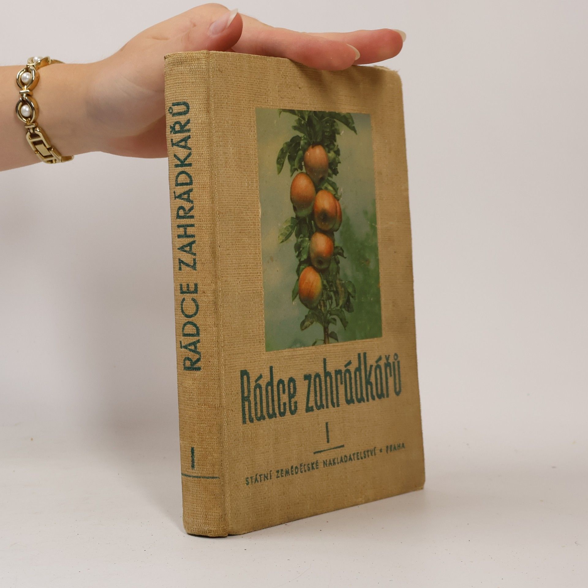 Autorenkollektiv Rádce zahrádkářů I