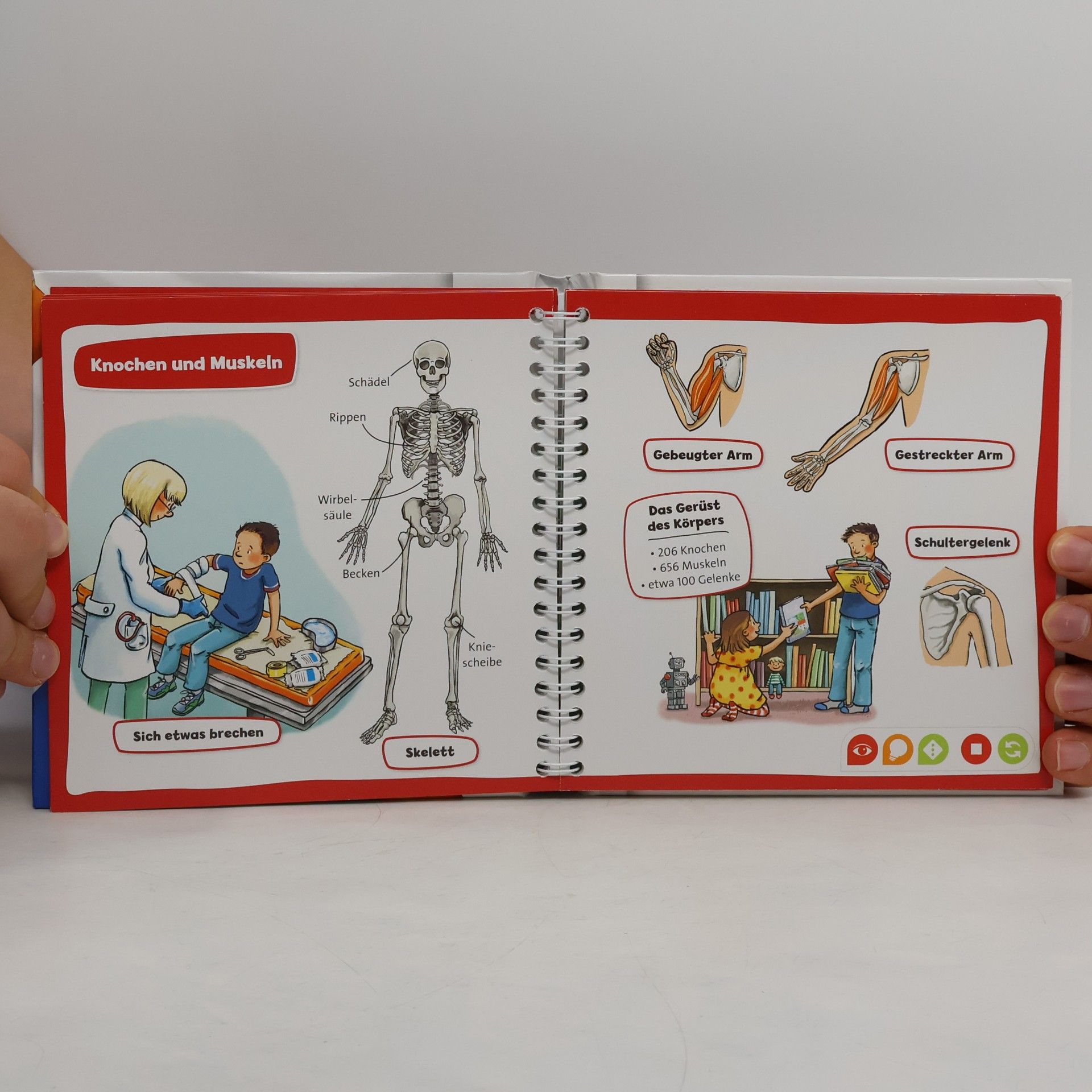 Collectif d'auteurs Pocket Wissen: Körper