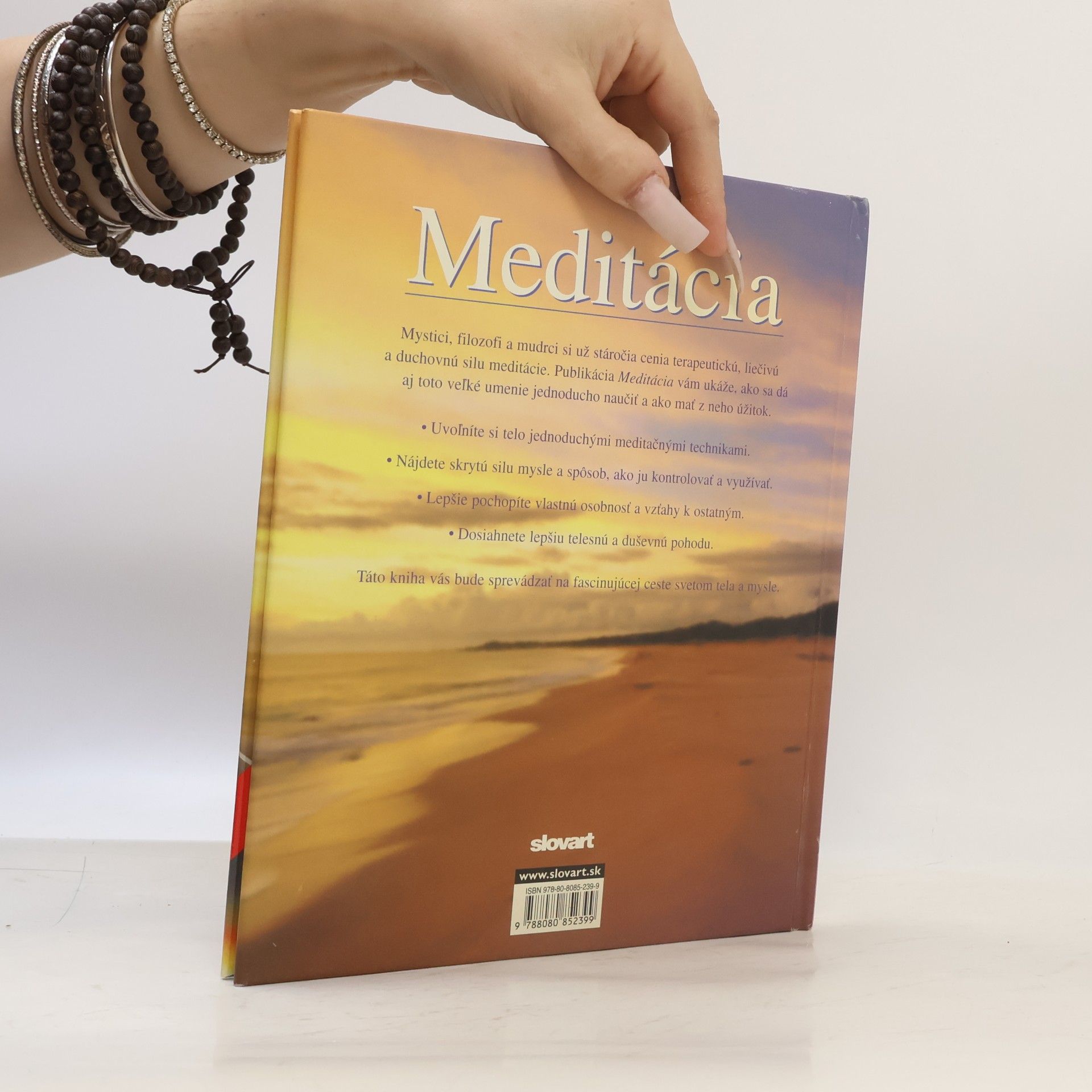 Lorraine Turner Meditácia - Ako objaviť cestu k vnútornej harmónii