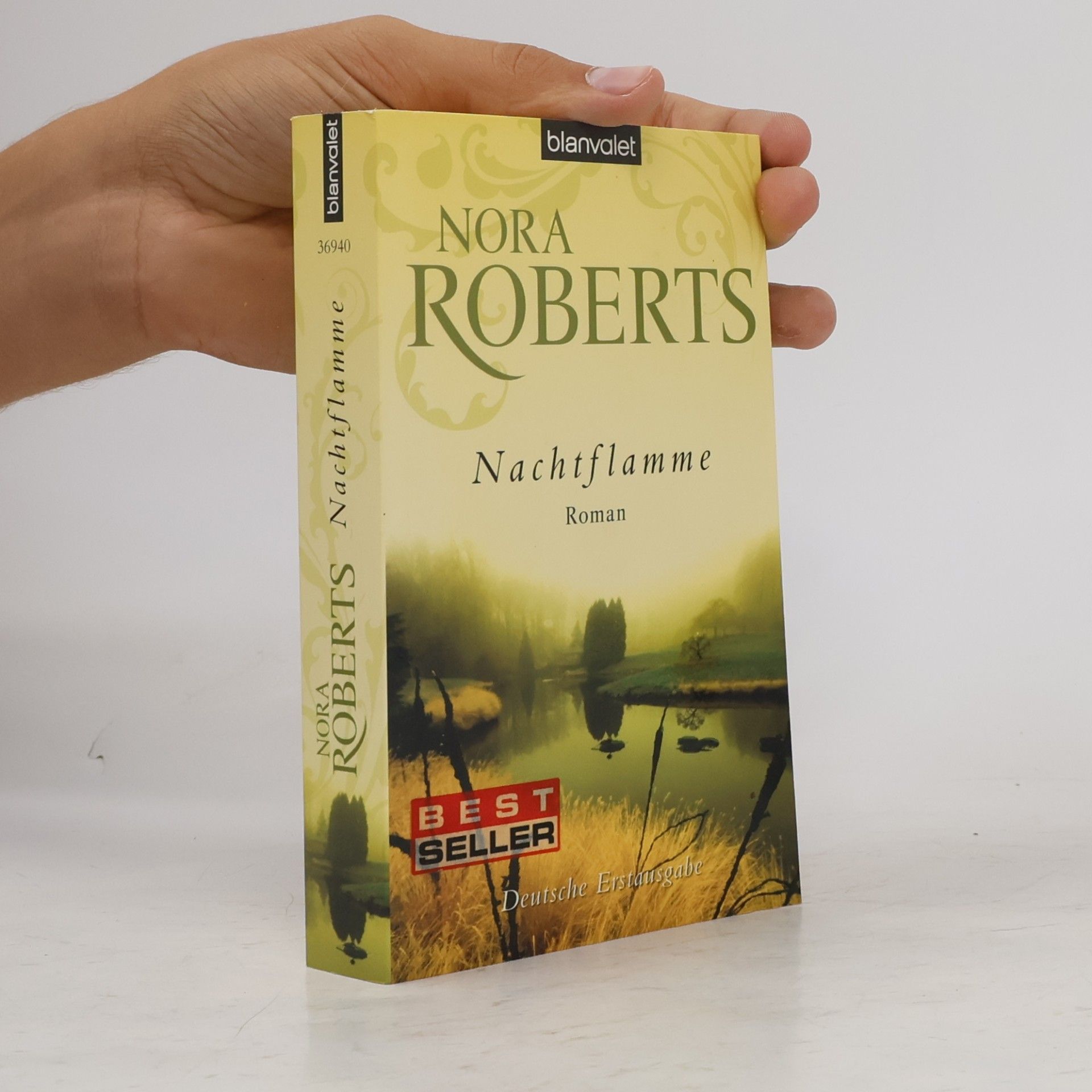 Nora Roberts Nachtflamme