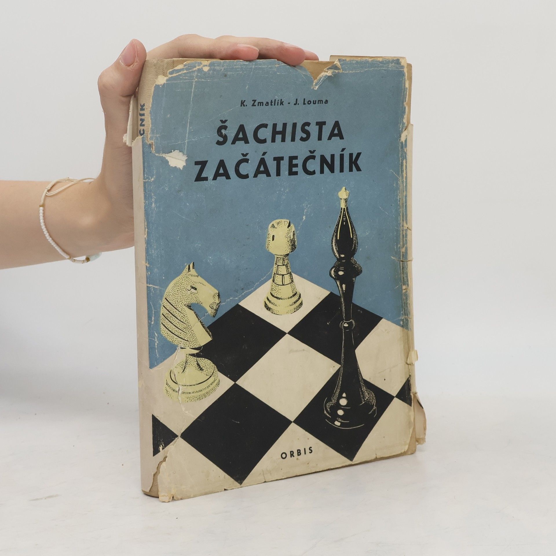 Karel Zmatlík Šachista začátečník