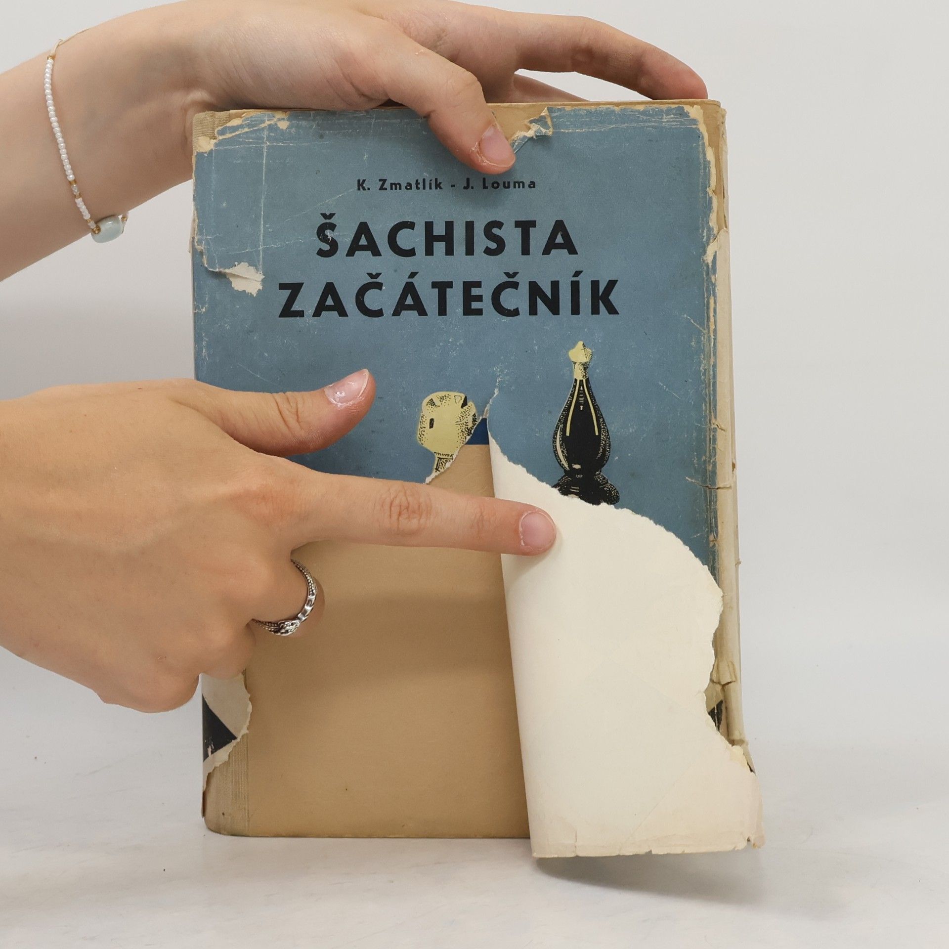 Karel Zmatlík Šachista začátečník