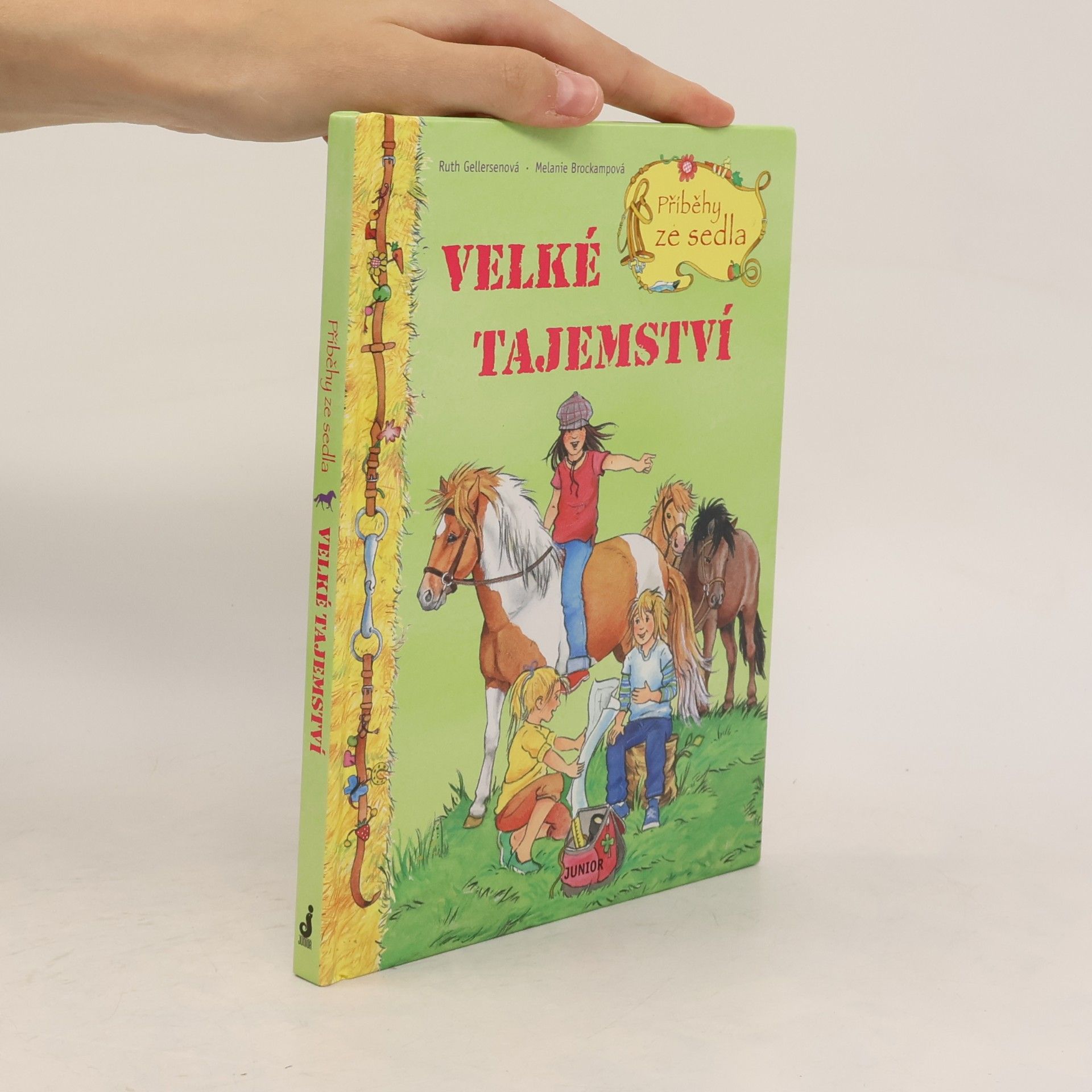 Ruth Gellersen Příběhy ze sedla. Velké tajemství