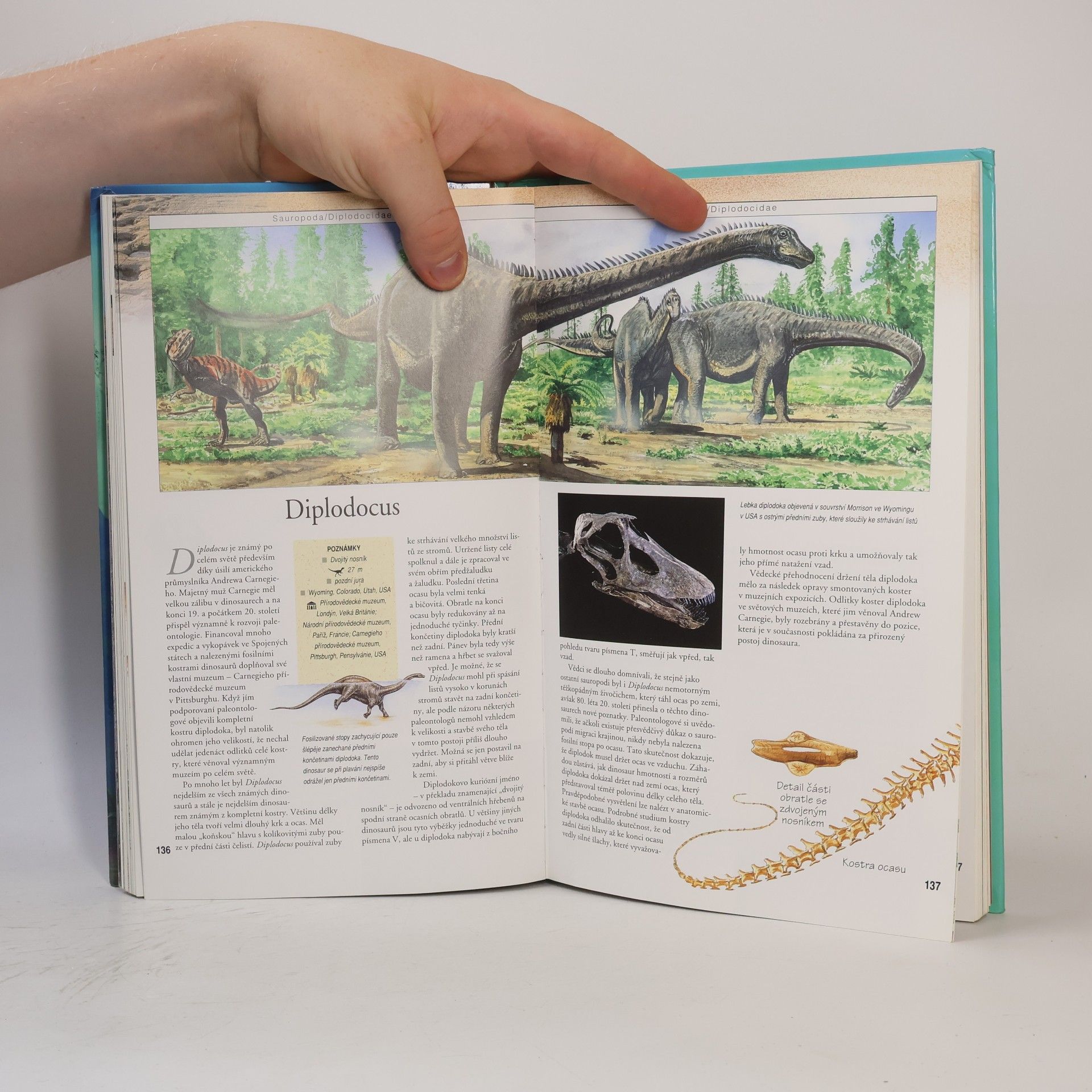 Christopher Brochu Encyklopedie Dinosauři