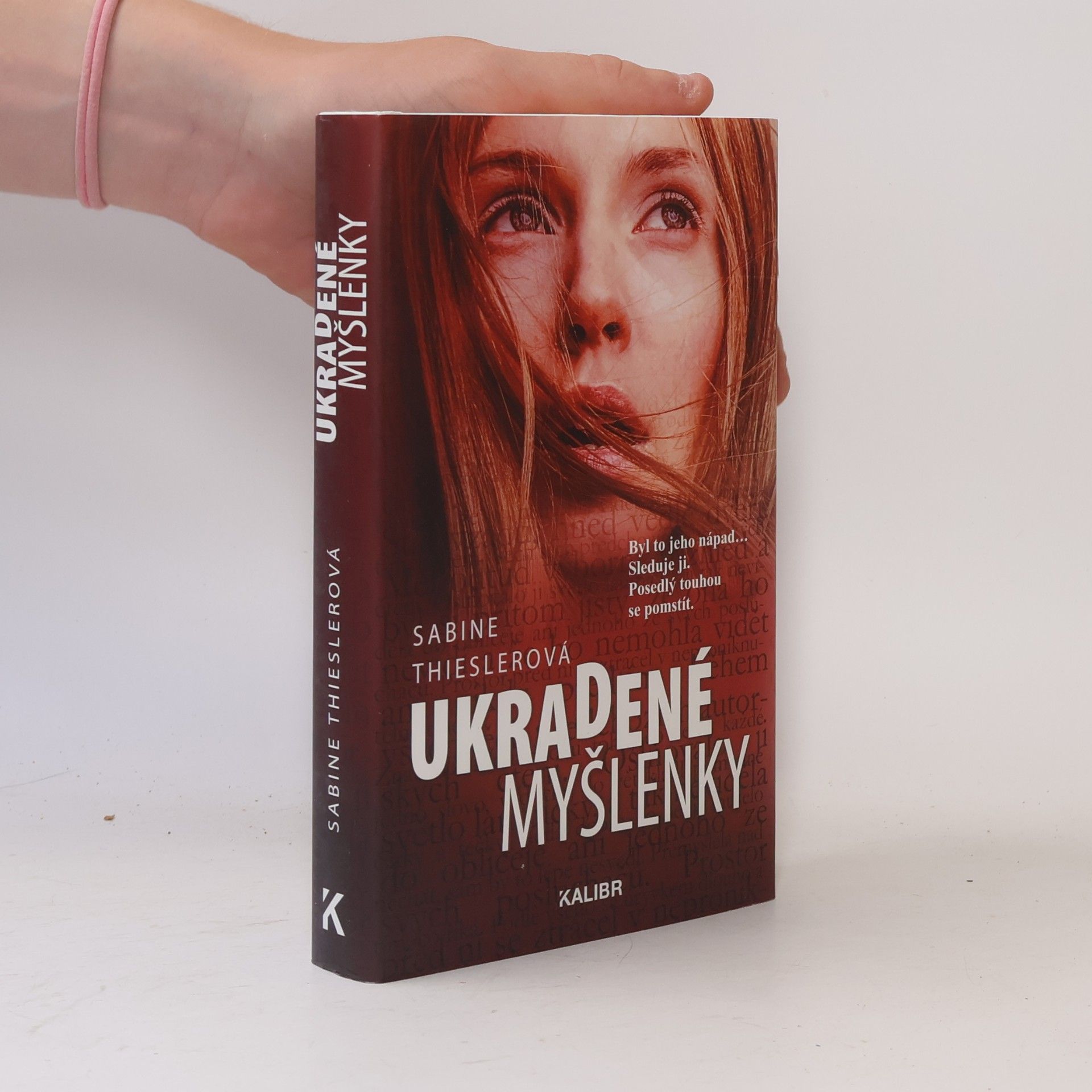 Sabine Thiesler Ukradené myšlenky