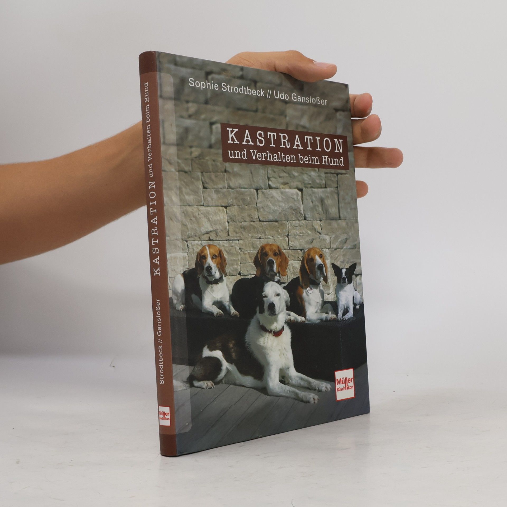 Kastration und Verhalten beim Hund