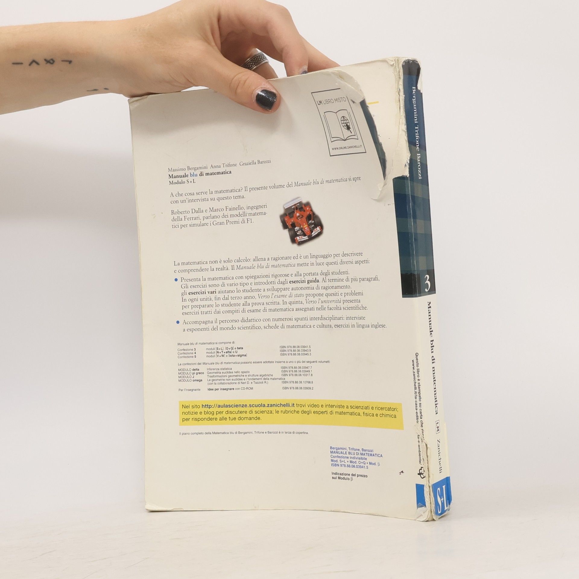 Massimo Bergamini Manuale blu di matematica