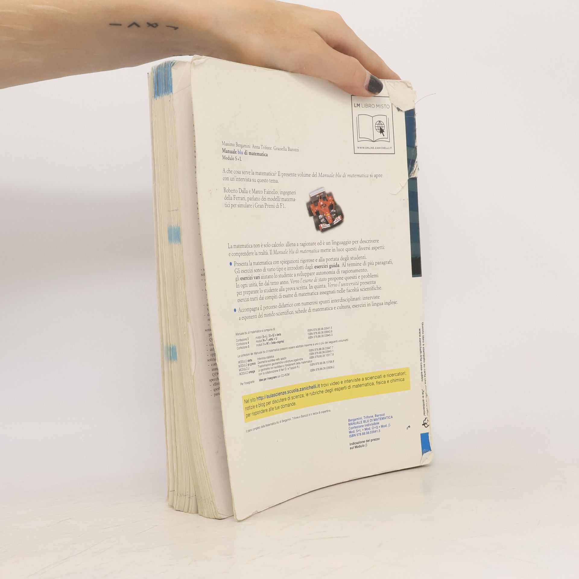 Massimo Bergamini Manuale blu di matematica