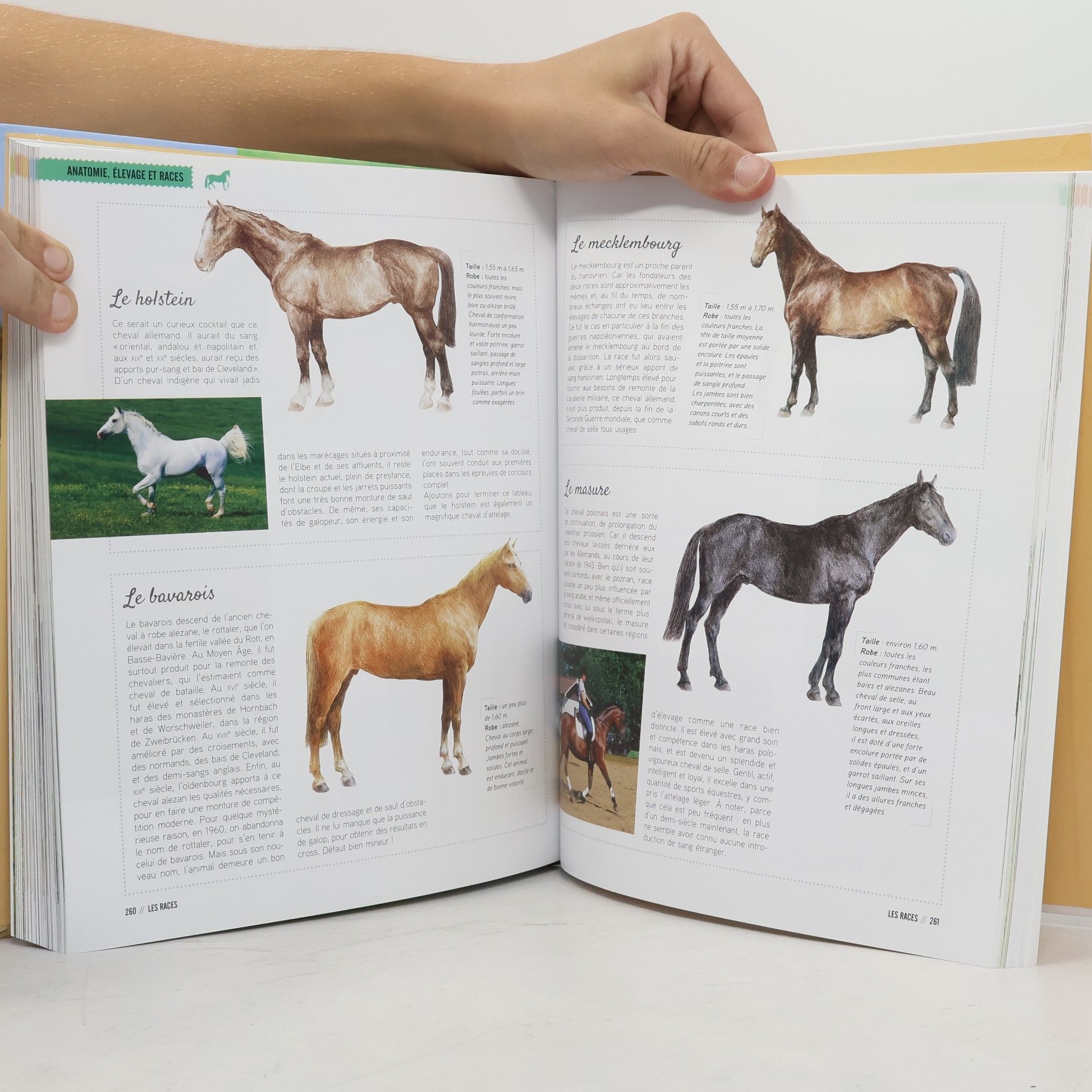 Le Larousse du cheval et du poney: Tout sur l'équitation et les chevaux