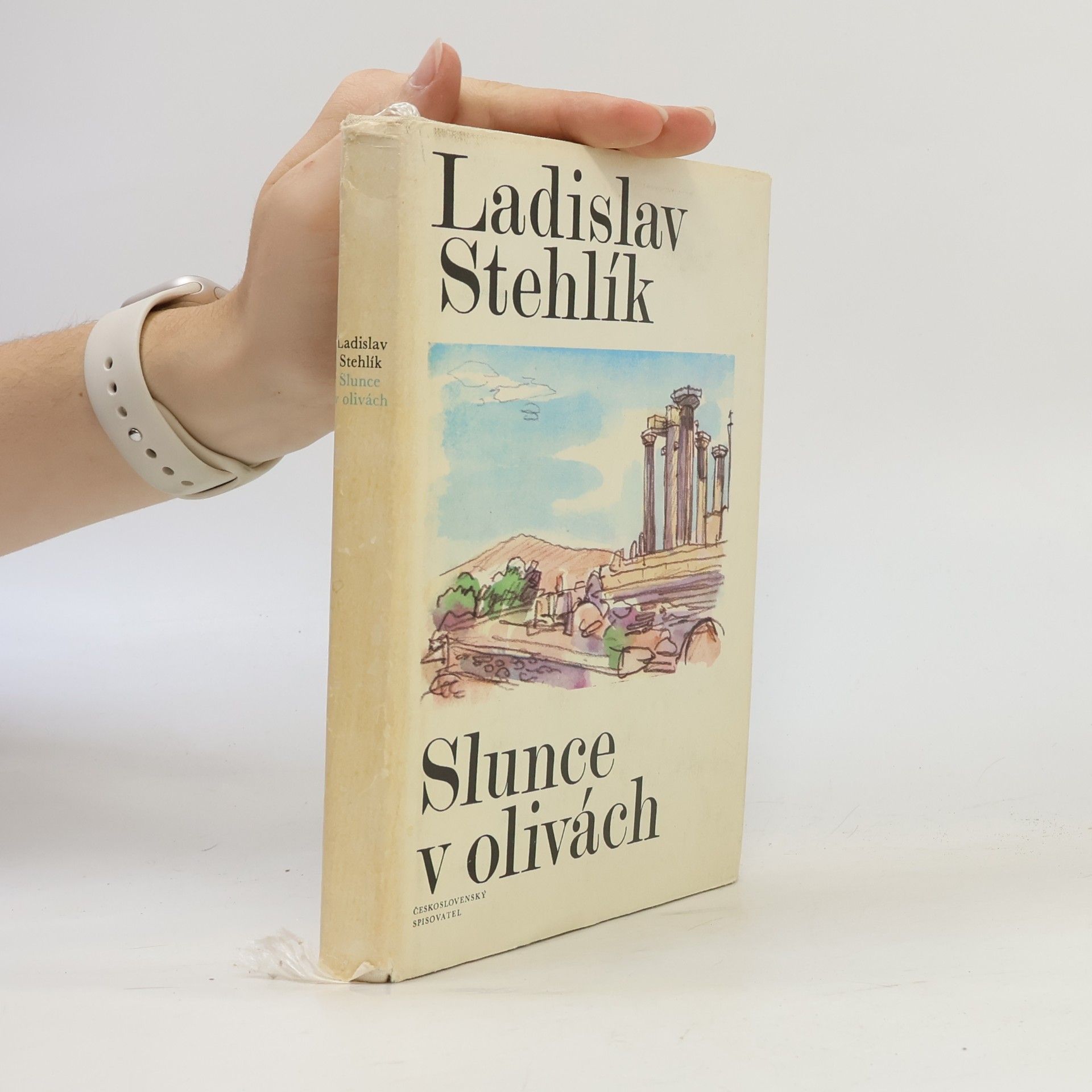 Ladislav Stehlík Slunce v olivách