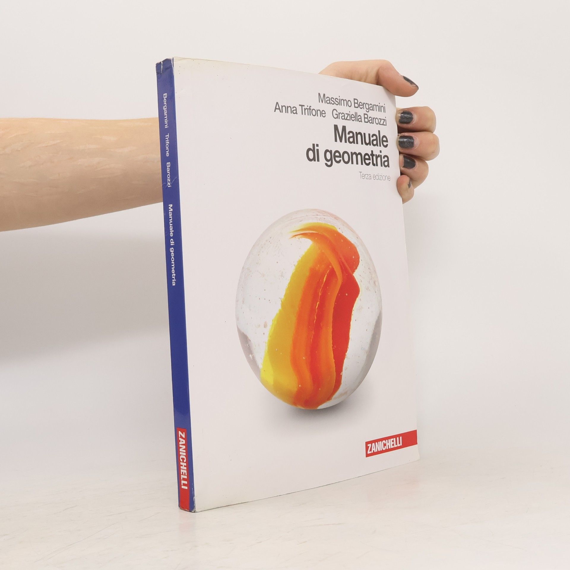 Graziella Barozzi Manuale di geometria