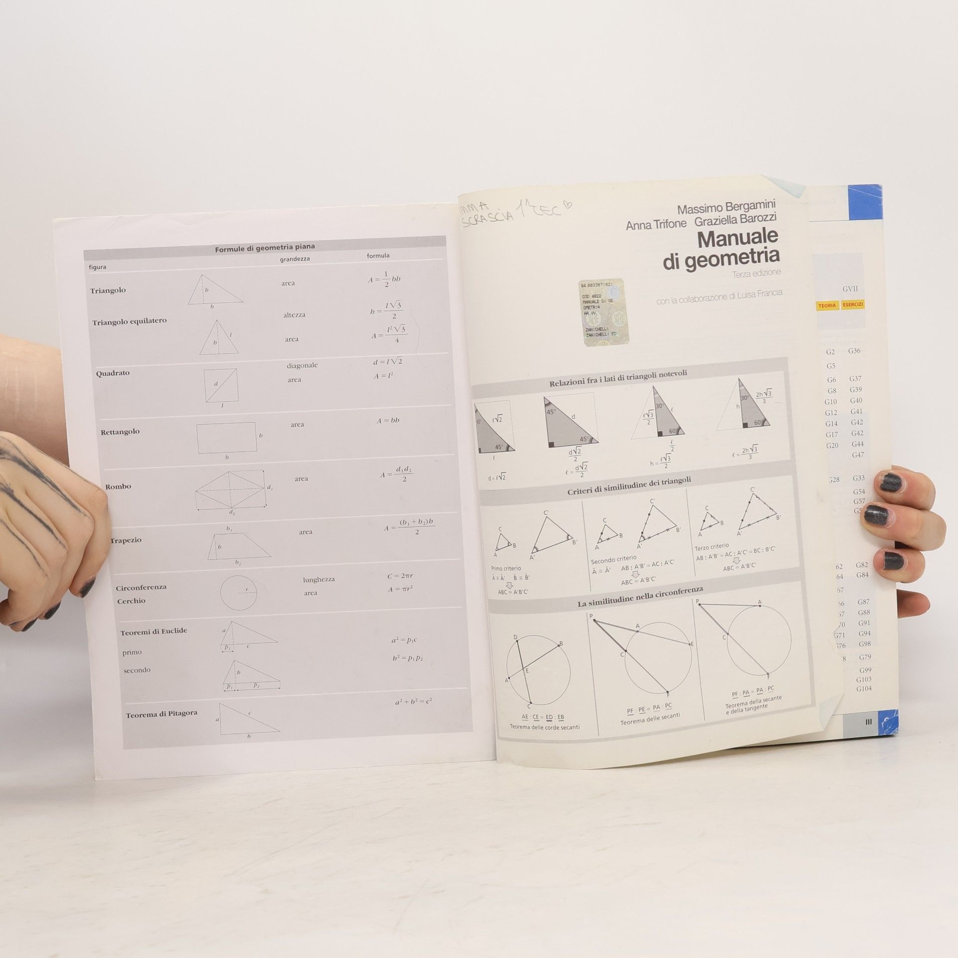 Massimo Bergamini Manuale di geometria