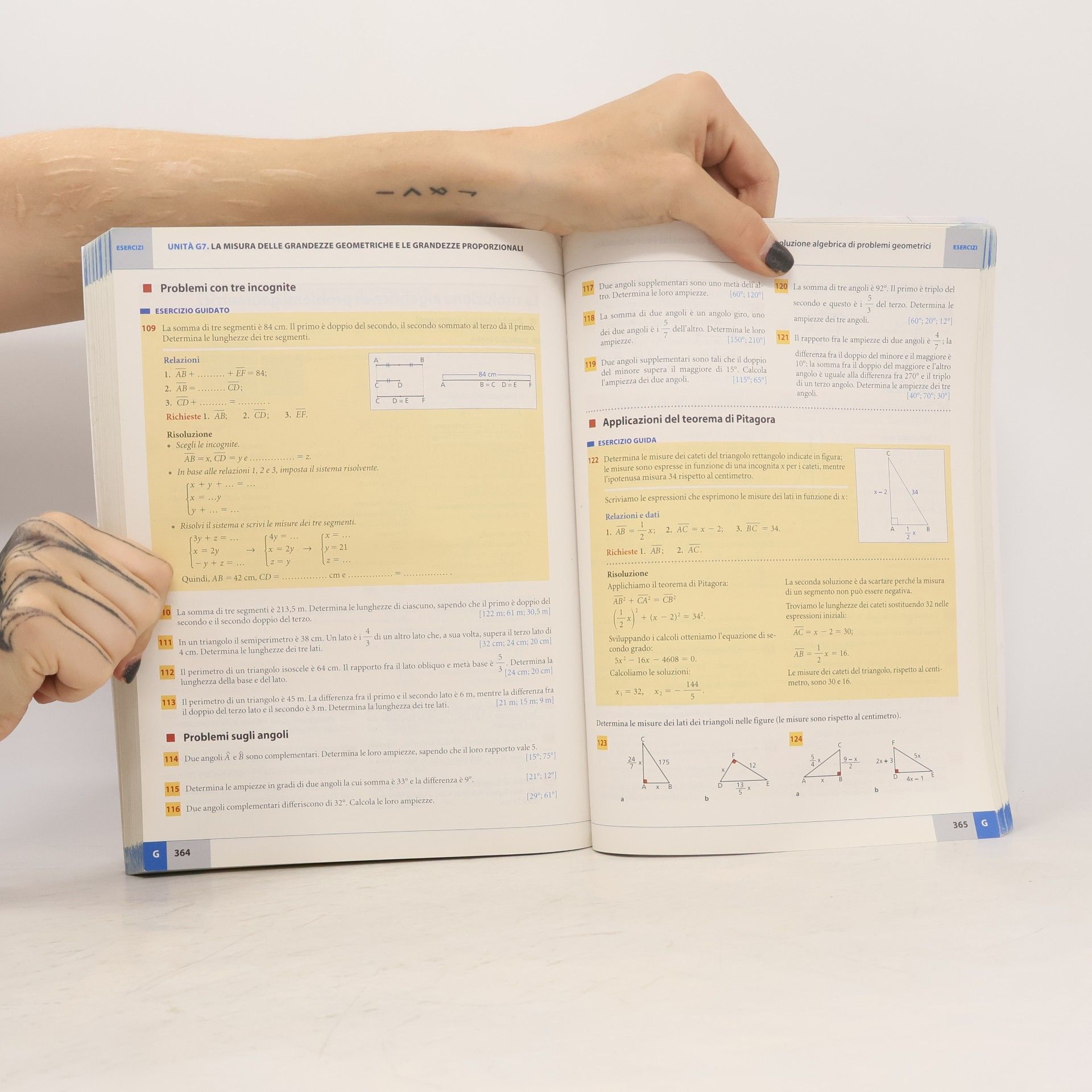 Massimo Bergamini Manuale di geometria