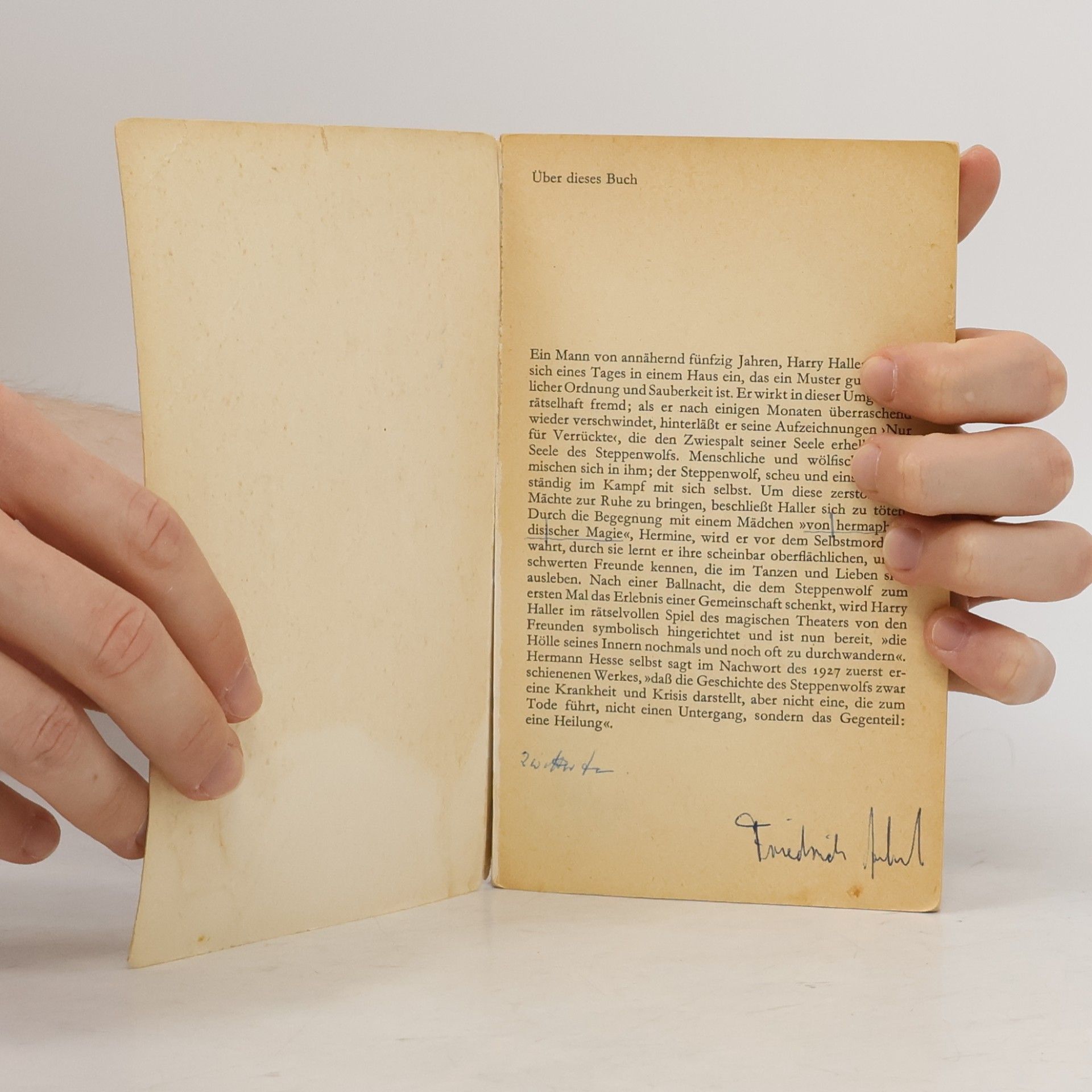 Hermann Hesse Der Steppenwolf