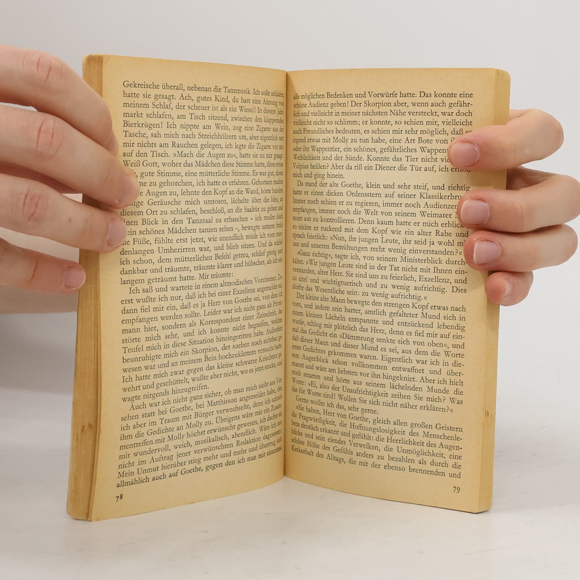 Hermann Hesse Der Steppenwolf