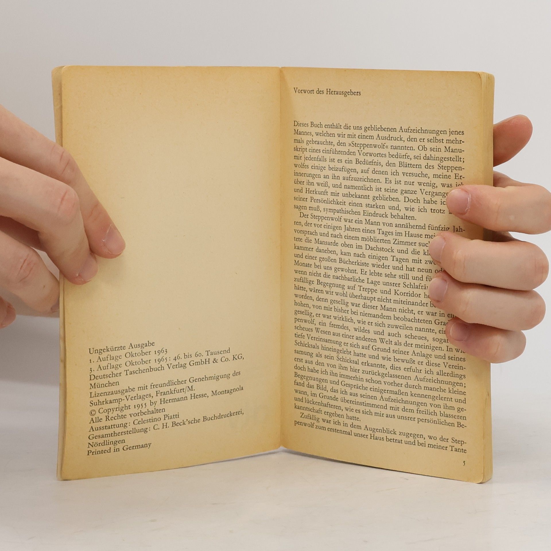 Hermann Hesse Der Steppenwolf