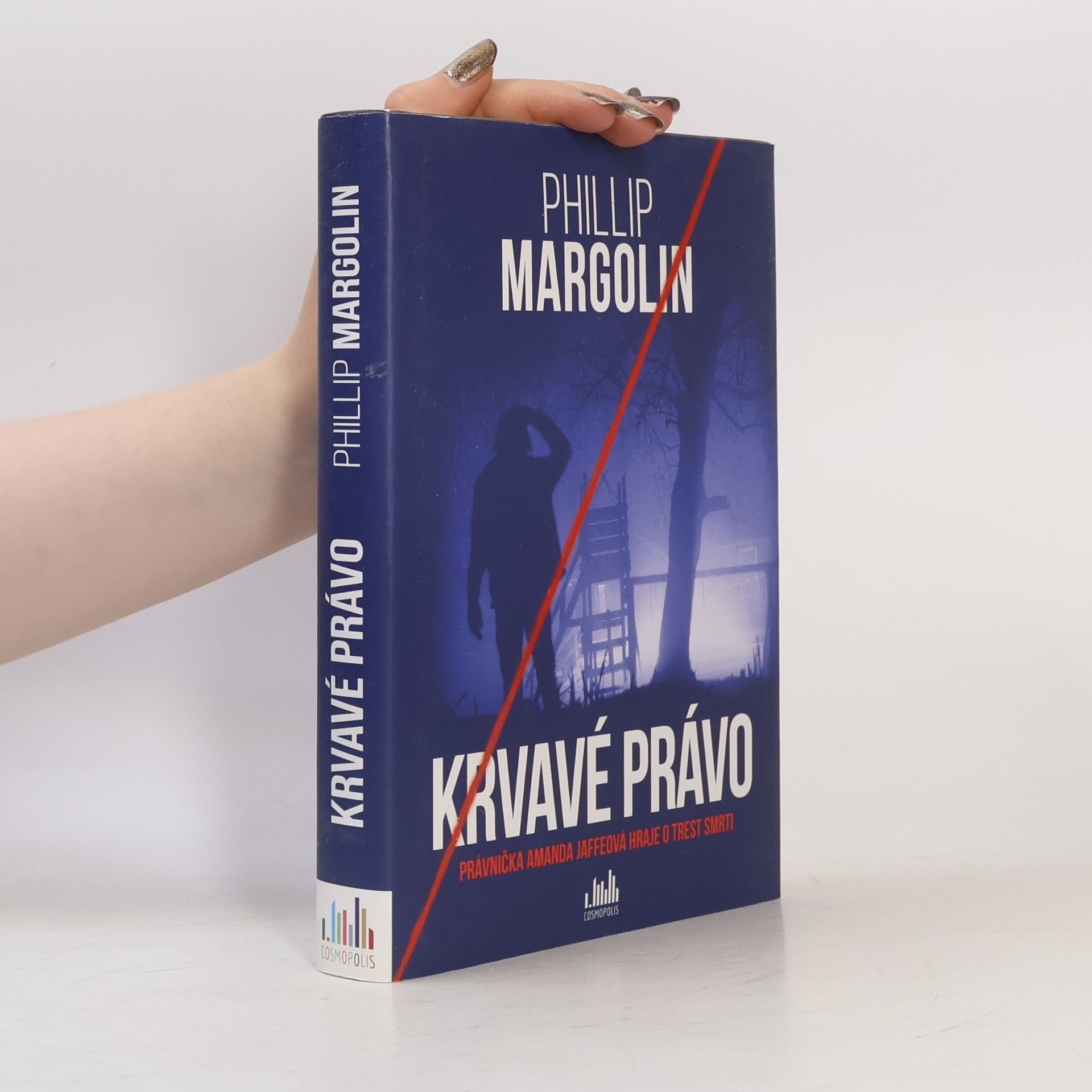 Anna Gibson Krvavé právo. Právnička Amanda Jaffeová hraje o trest smrti