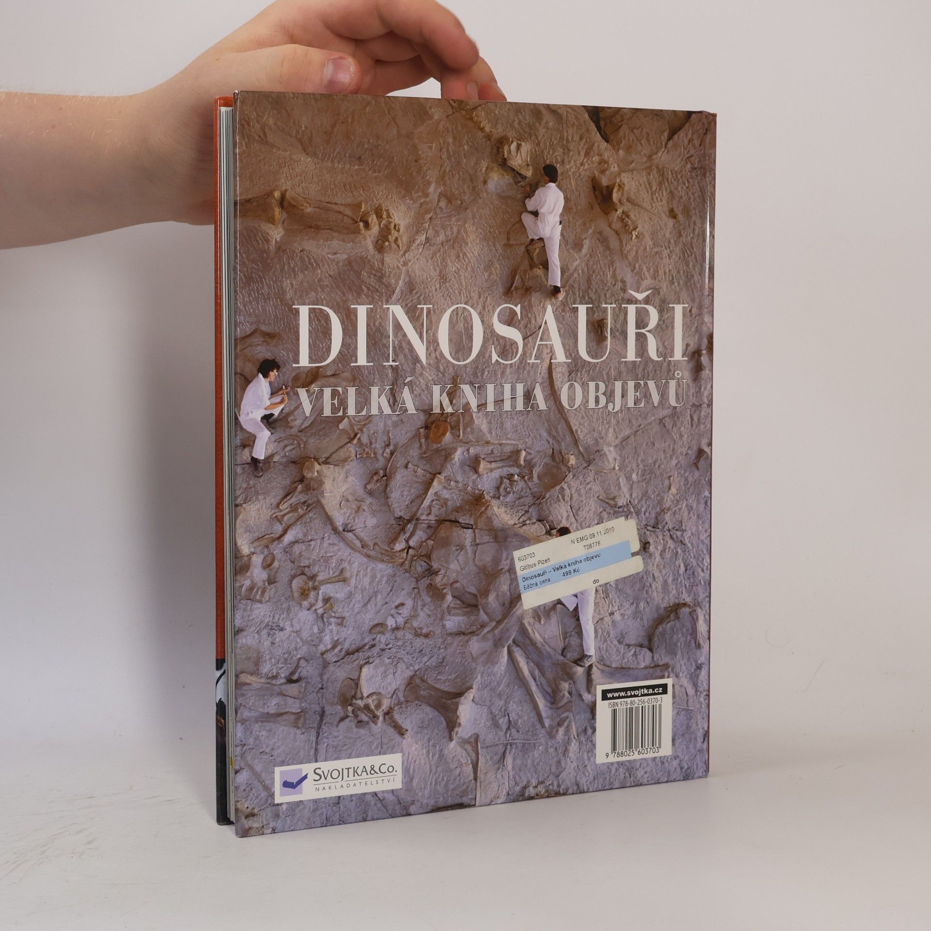 Darren Naish Dinosauři: Velká kniha objevů
