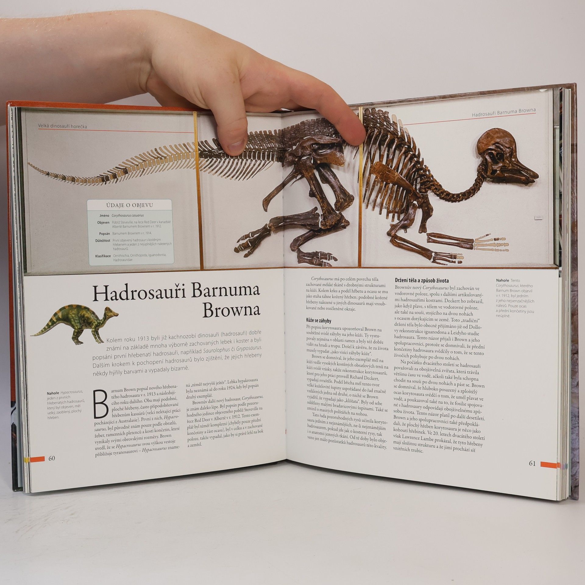Darren Naish Dinosauři: Velká kniha objevů