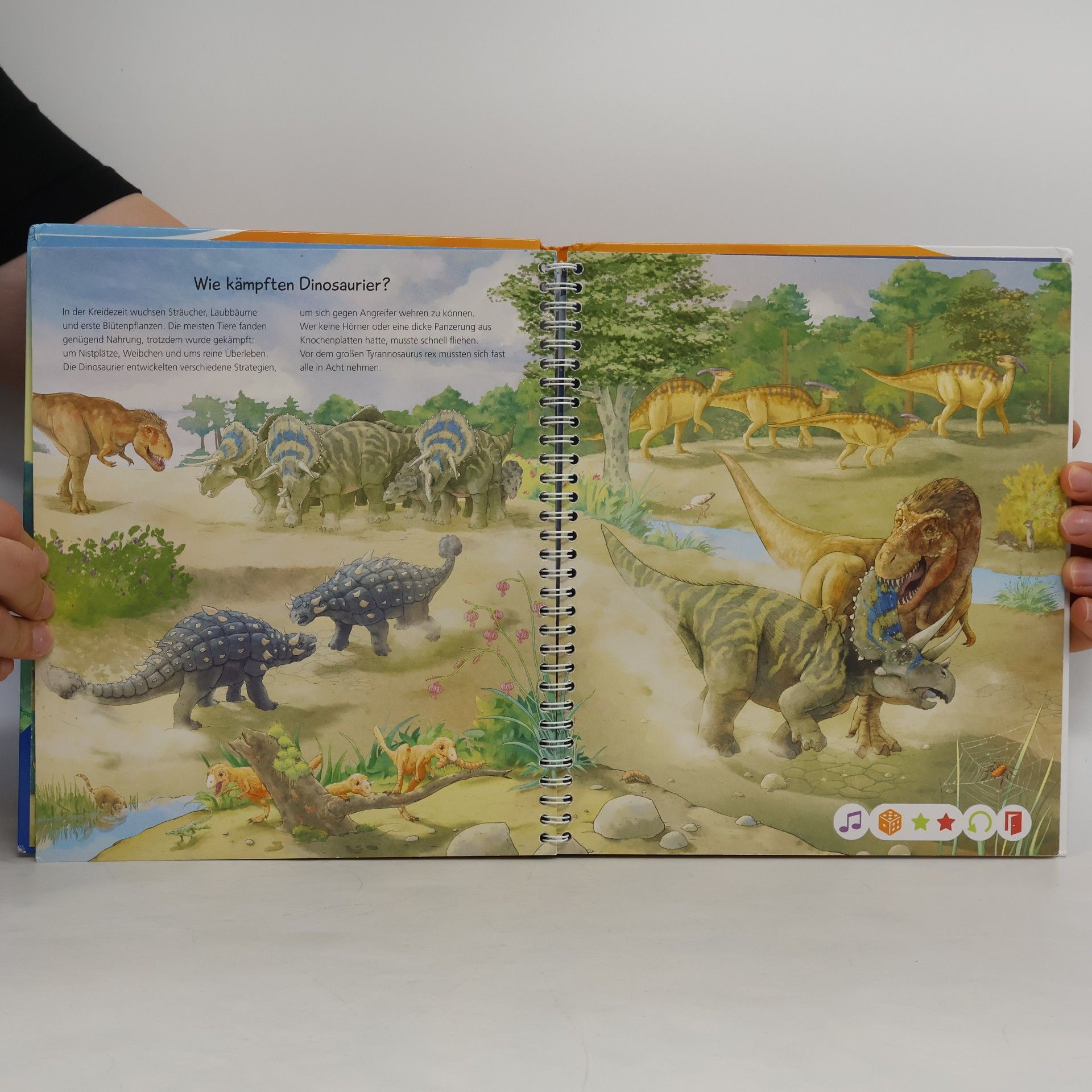 Inka Friese Wir entdecken die Dinosaurier