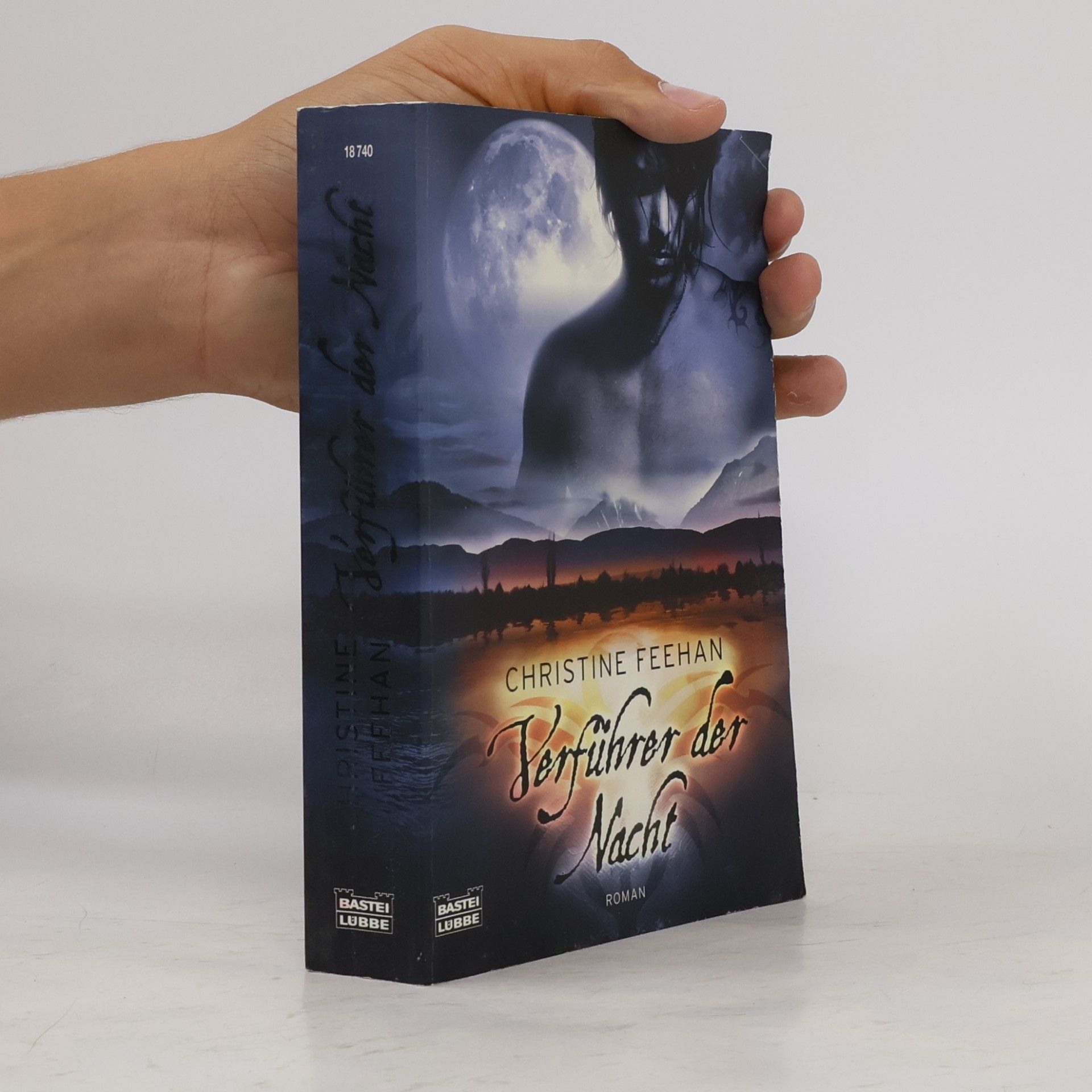 Christine Feehan Verführer der Nacht