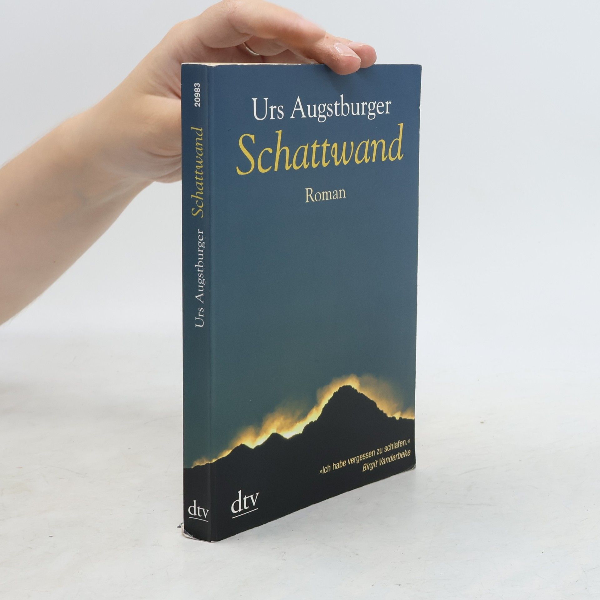 Urs Augstburger Schattwand