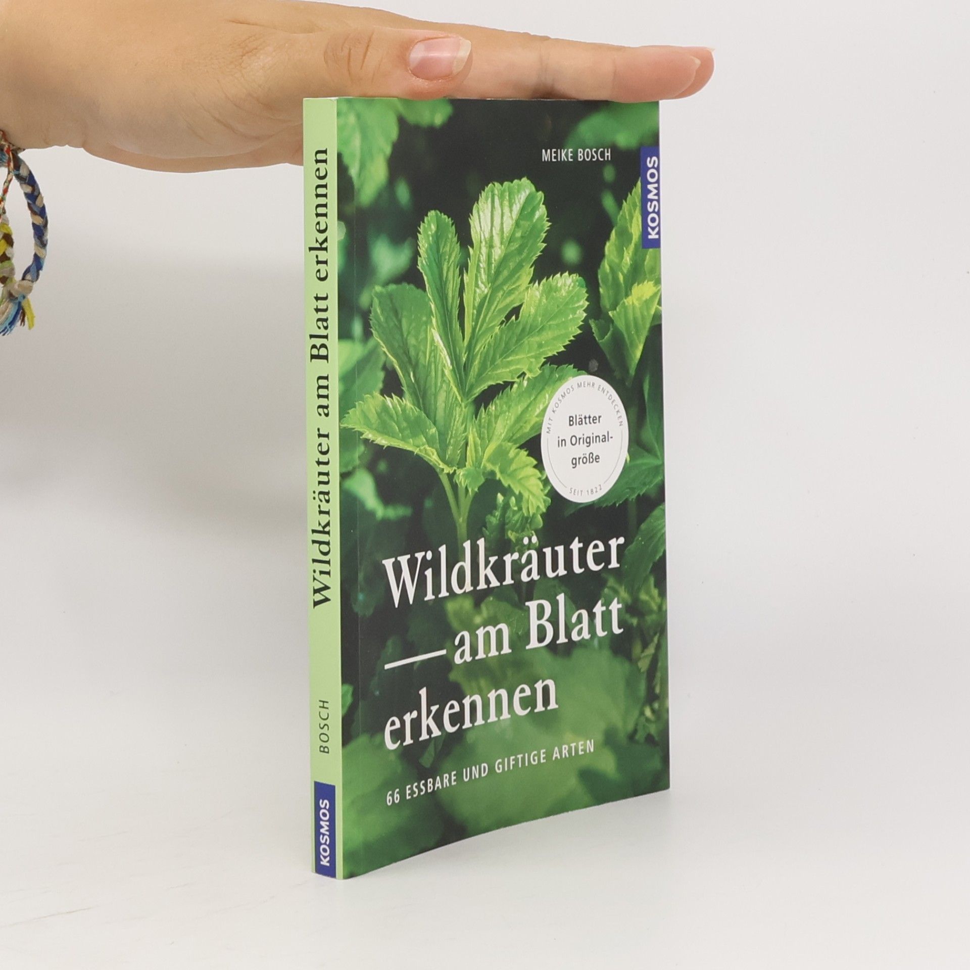 Meike Bosch Wildkräuter am Blatt erkennen