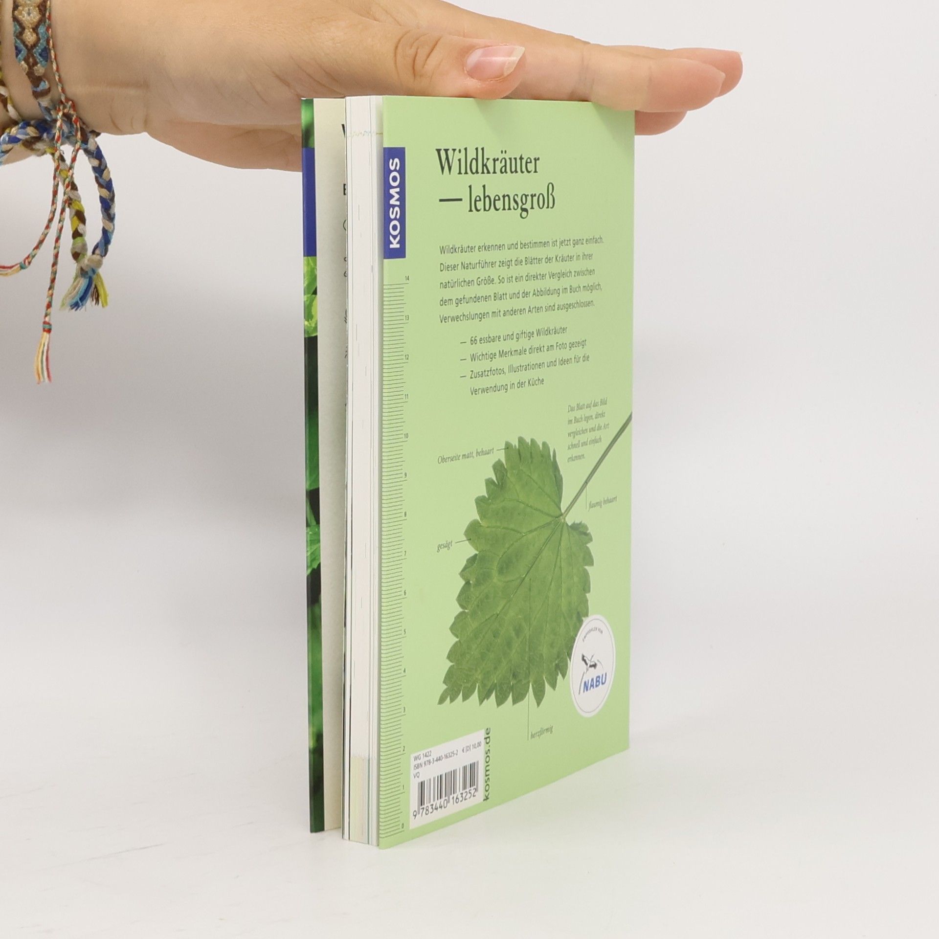 Meike Bosch Wildkräuter am Blatt erkennen