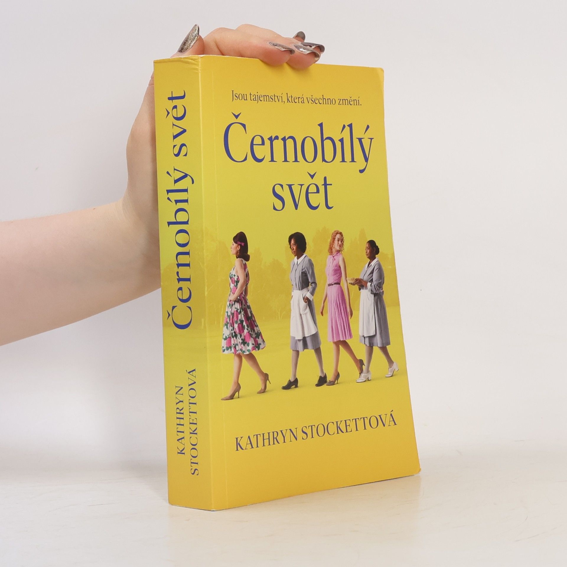 Kathryn Stockett Černobílý svět