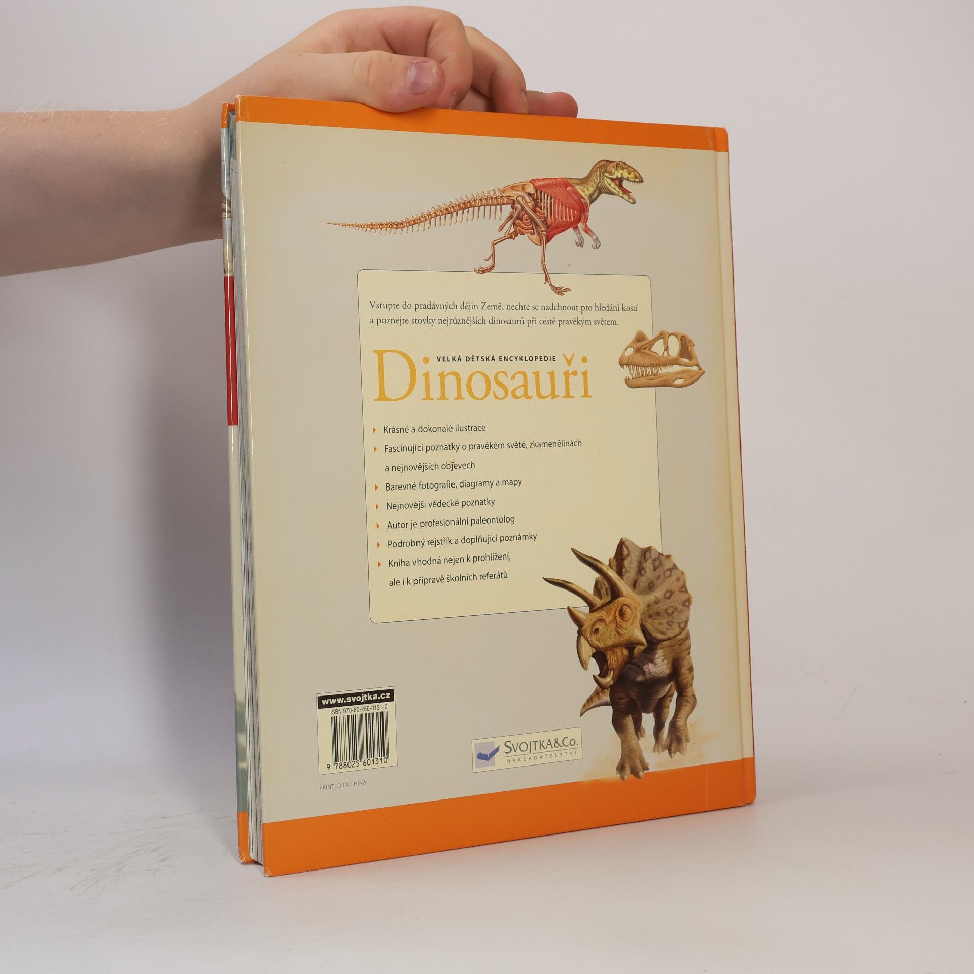 M. K. Brett Surman Dinosauři: Velká dětská encyklopedie