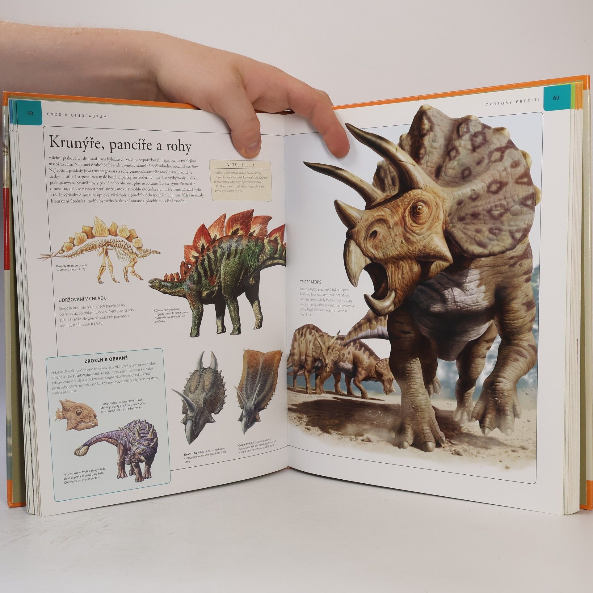M. K. Brett Surman Dinosauři: Velká dětská encyklopedie