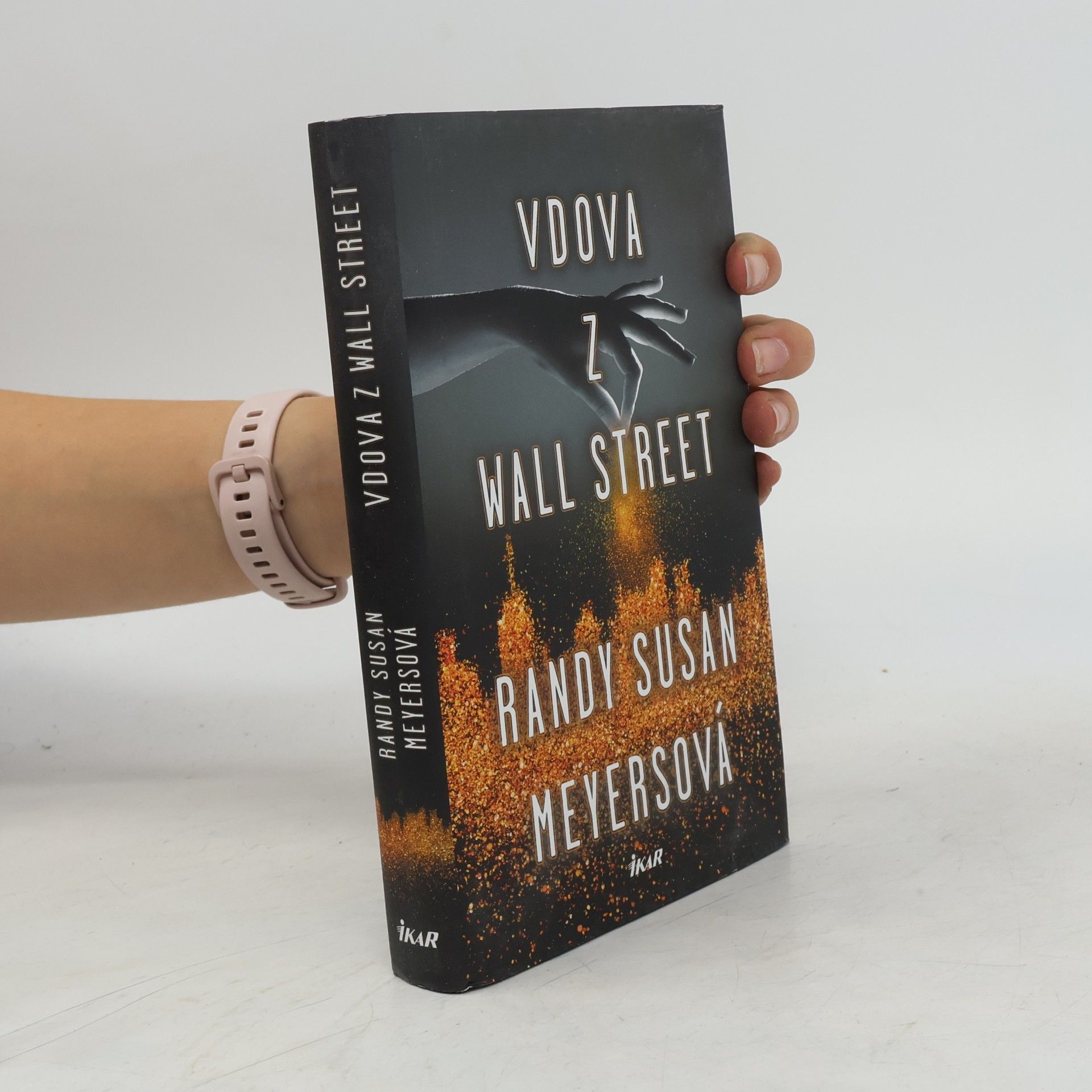 Randy Susan Meyers Vdova z Wall Street
